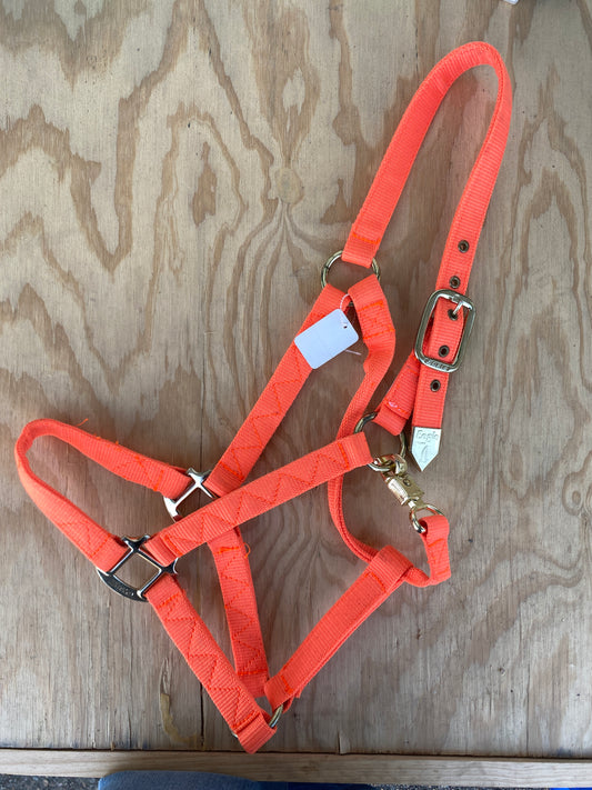 Economy Nylon Halter by Eagle Equine