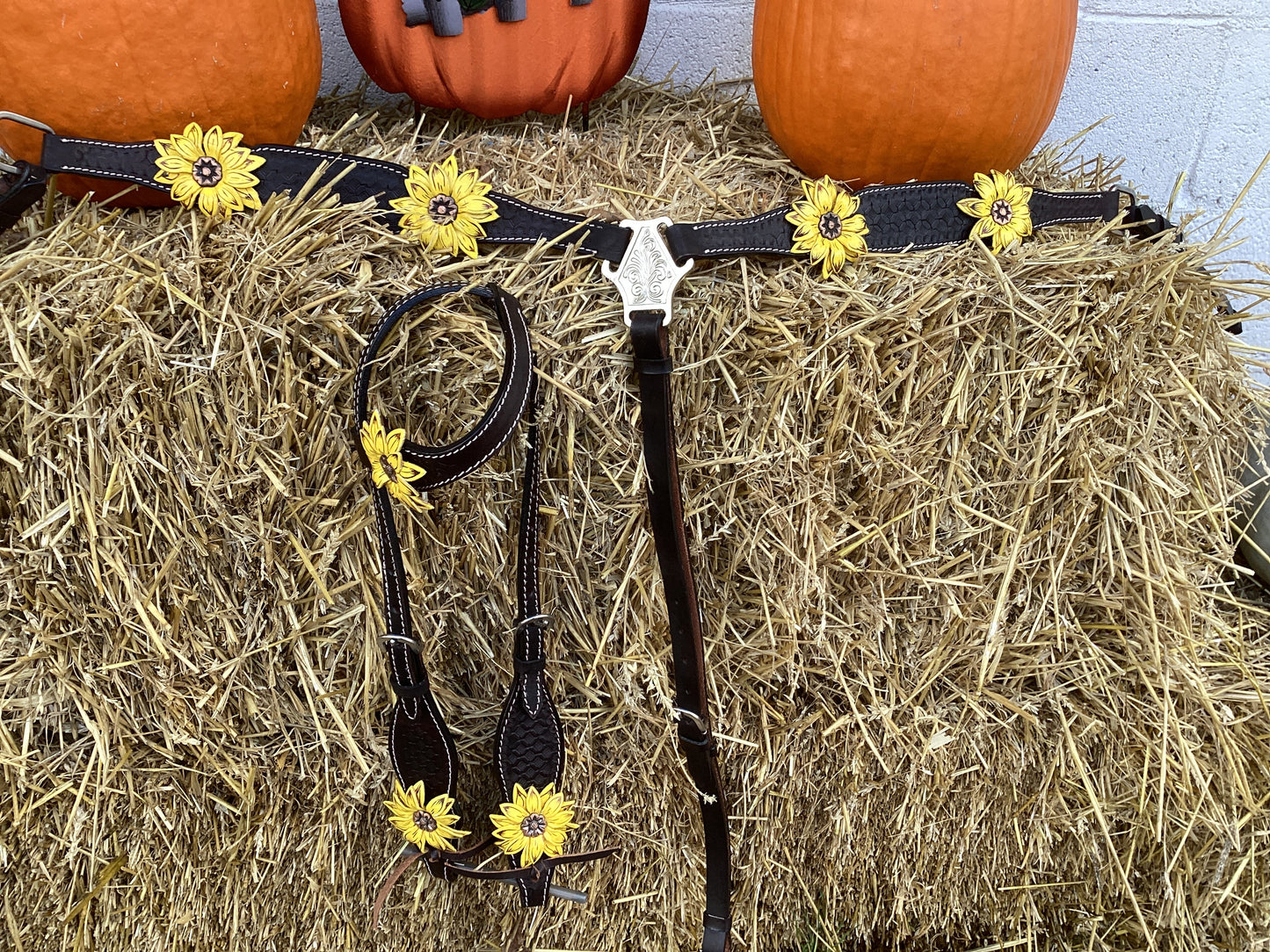 Kansas Nights Tack Set