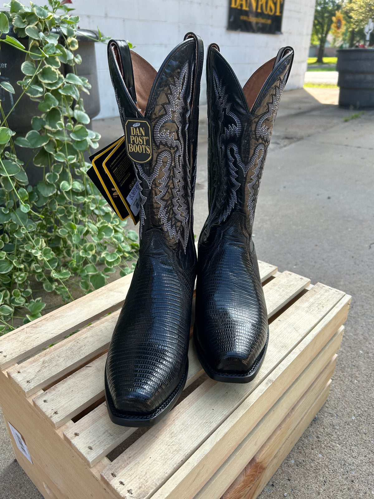 Ringold 7 Teju Lizard by Dan Post Boot Company