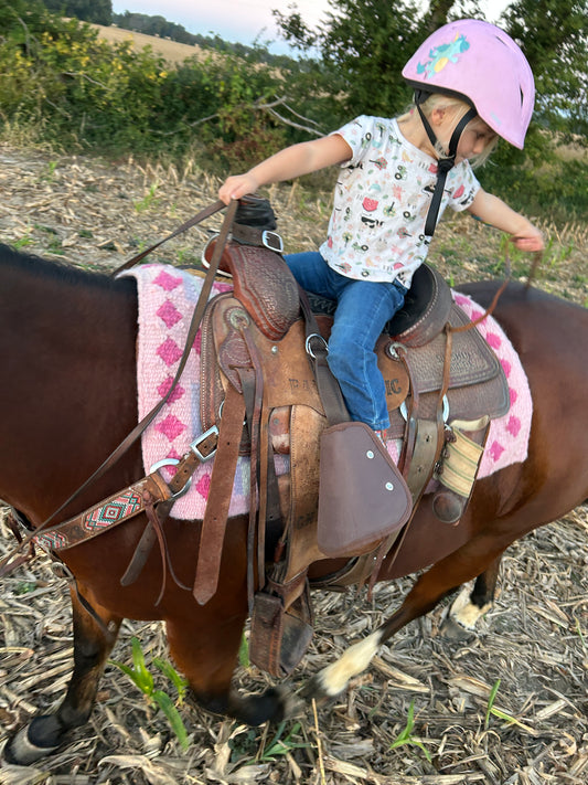 Lil Rider Buddy Stirrups