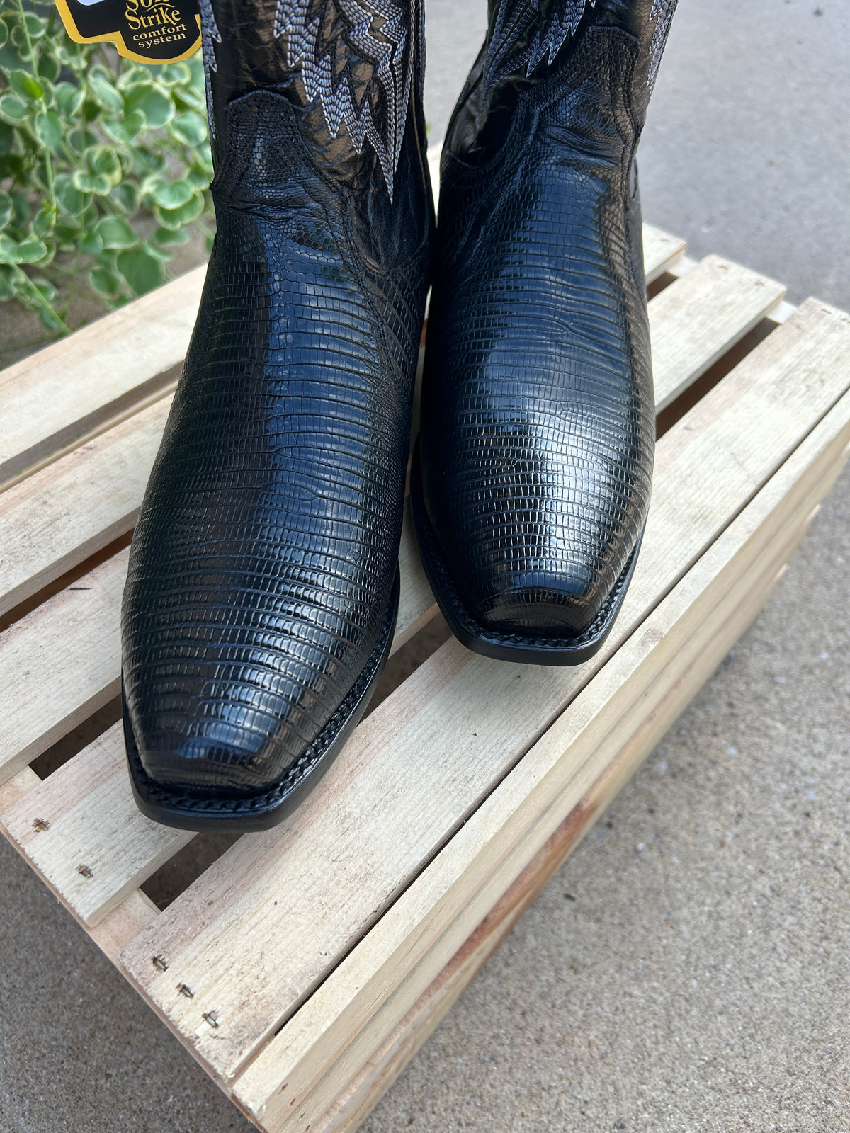 Ringold 7 Teju Lizard by Dan Post Boot Company