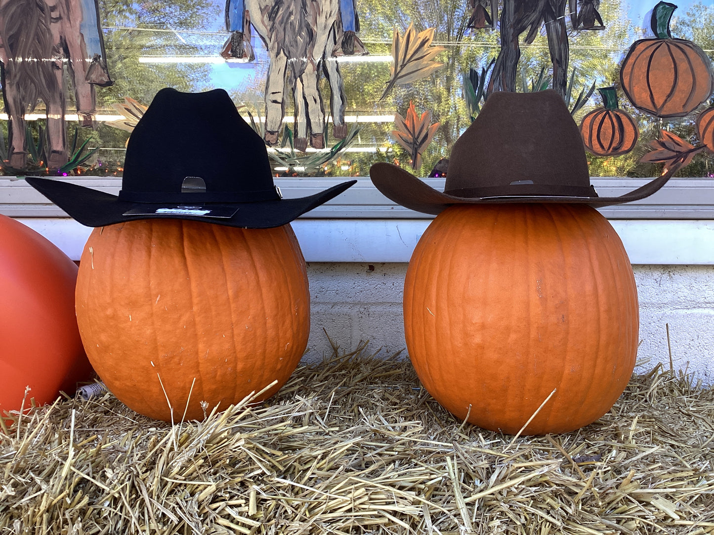 Kid’s Wool Felt Cowboy Hat by Ariat