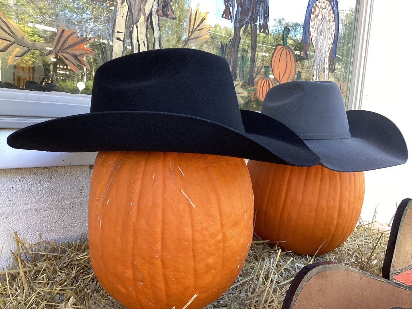 Luzerne 3X Felt Hat by Bailey