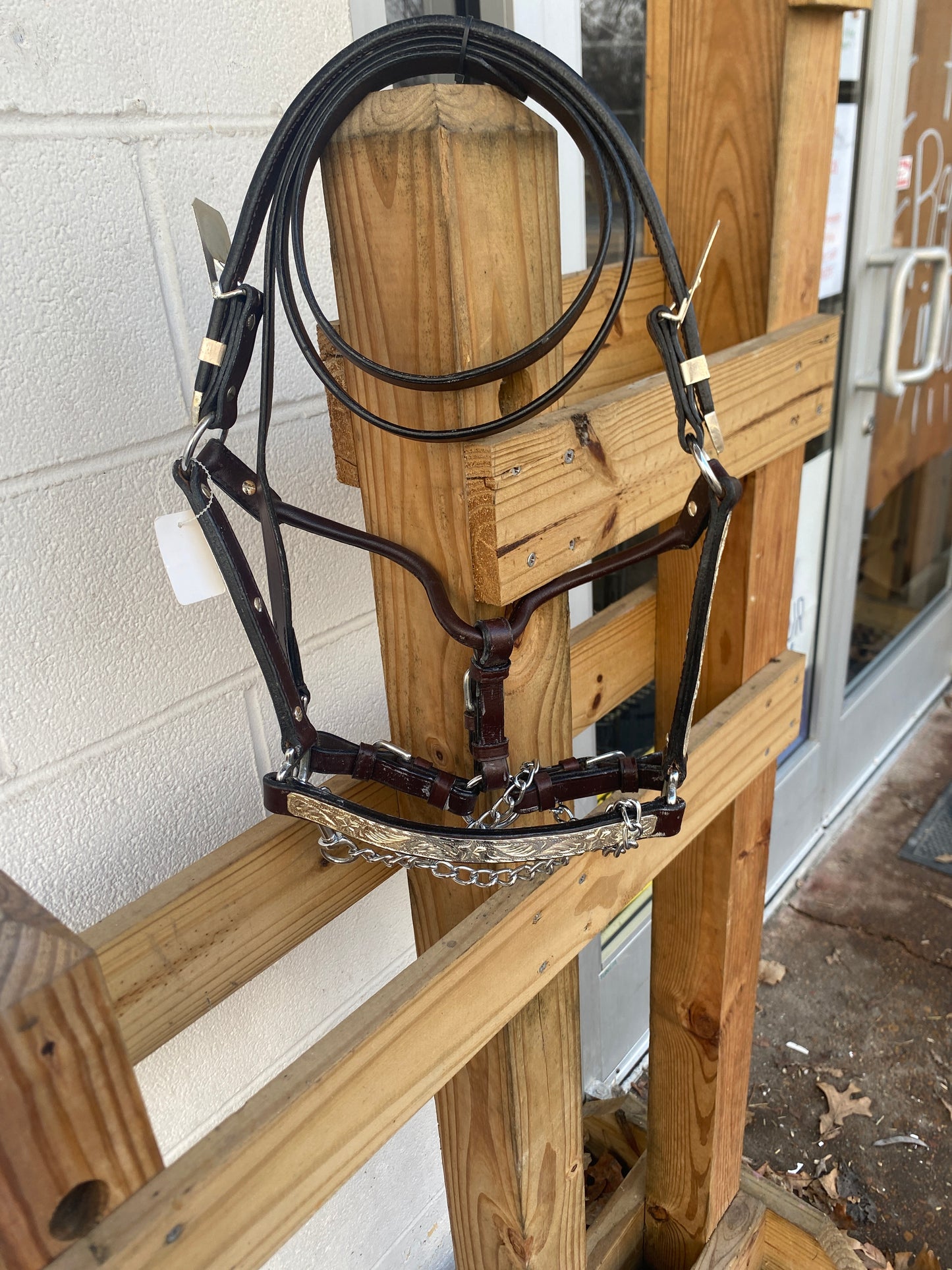 Colt Show Halter- Clearance