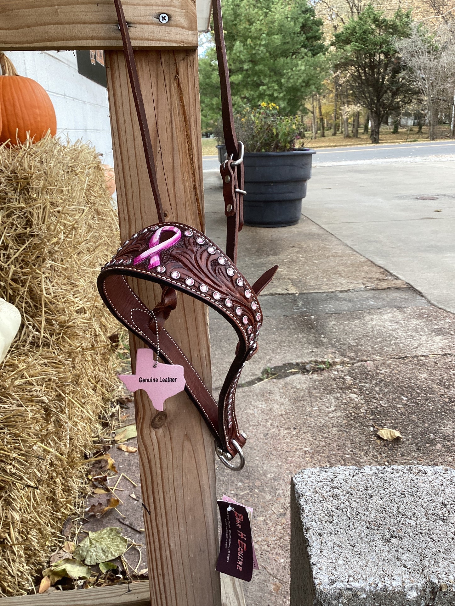 Passionately Pink Set