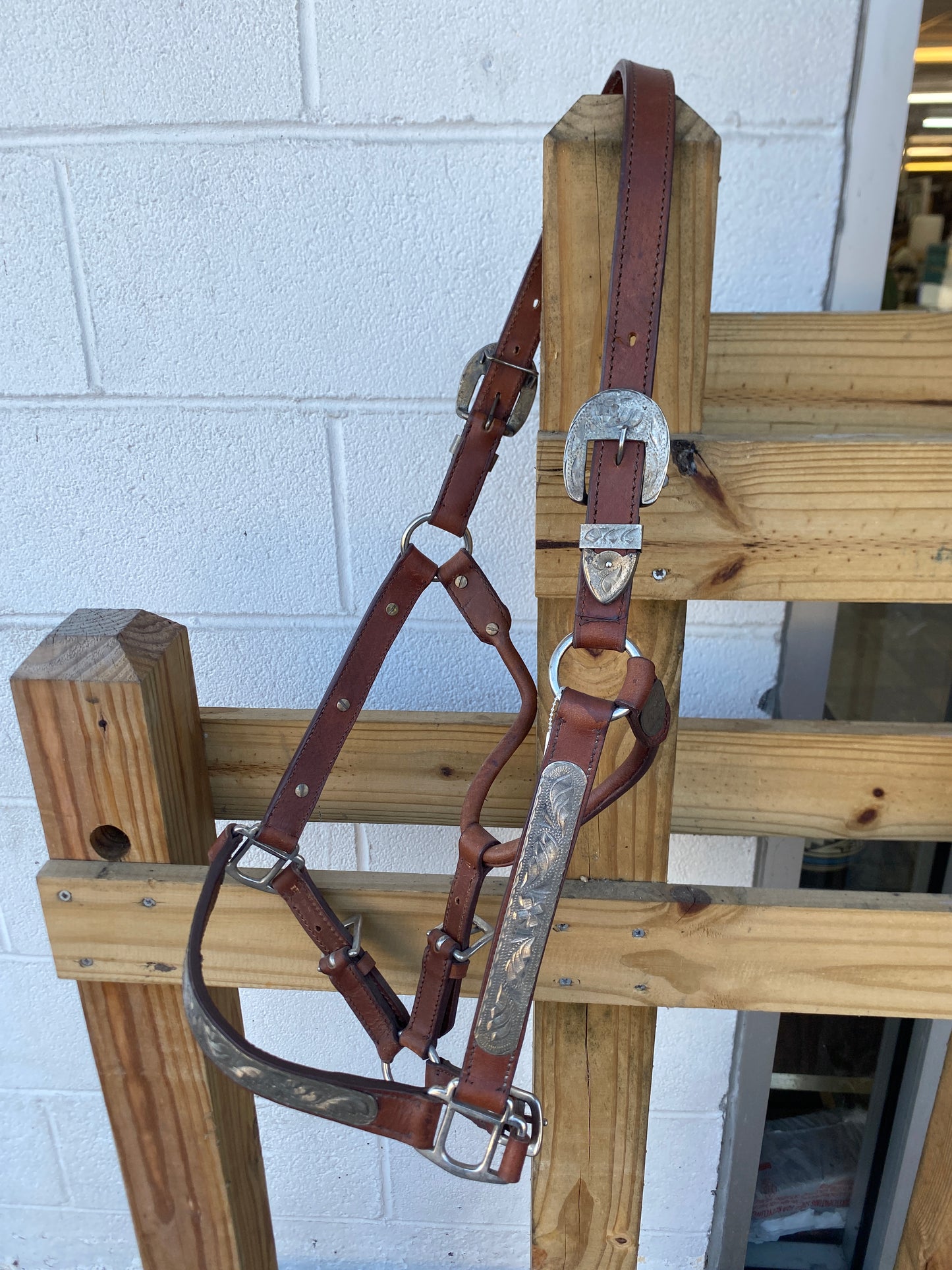 Royal King Show Halter-Horse CLEARANCE