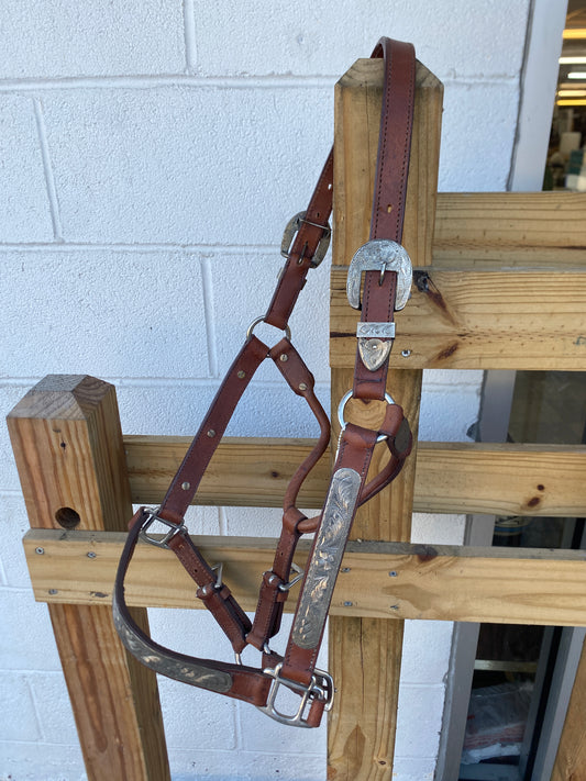 Royal King Show Halter-Horse CLEARANCE