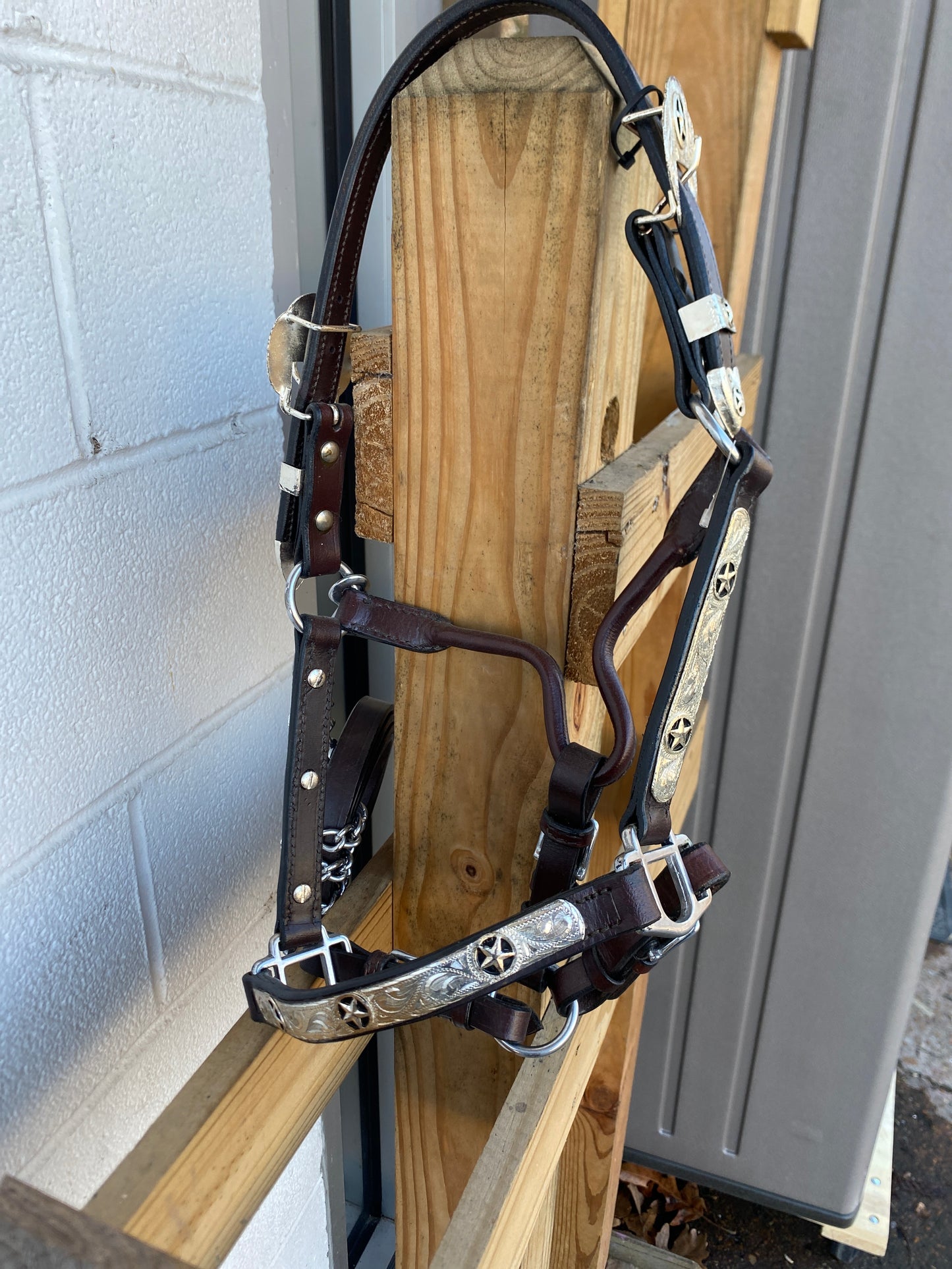 Texas Star Show Halter-CLEARANCE