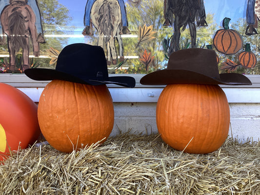 Kid’s Wool Felt Cowboy Hat by Ariat