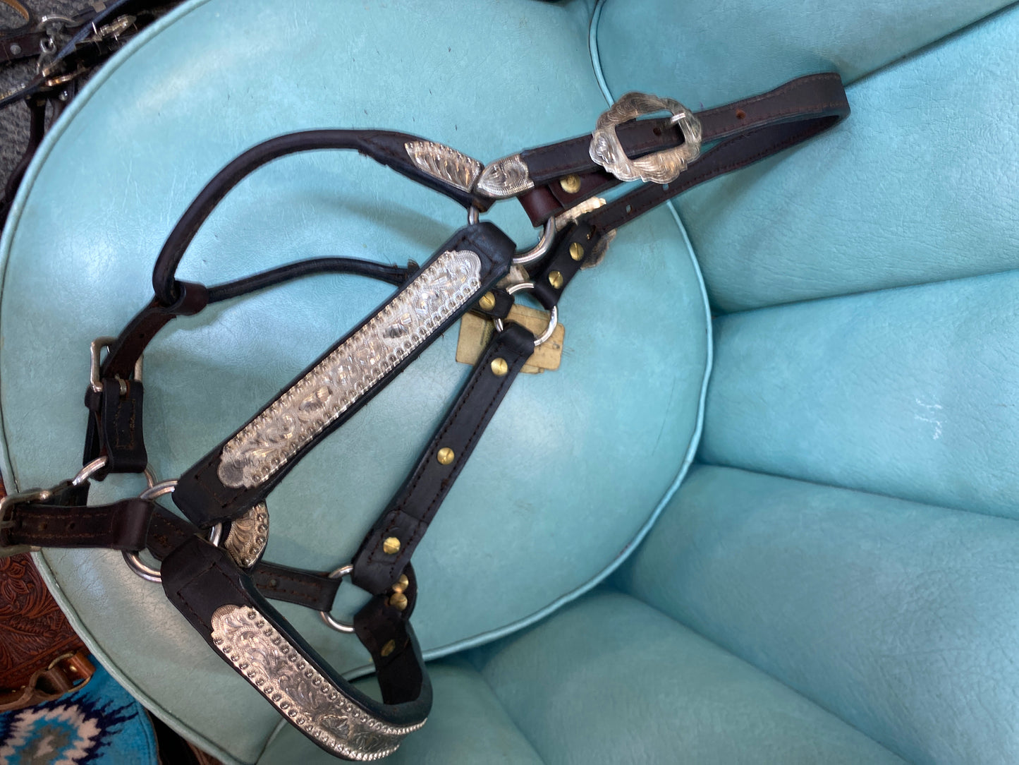 Dale Chavez Co. Show Halter-Horse CLEARANCE