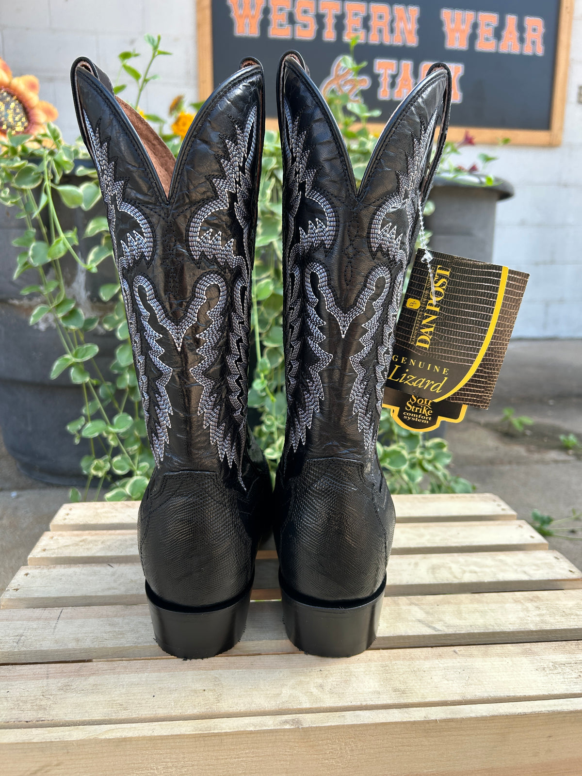 Ringold 7 Teju Lizard by Dan Post Boot Company