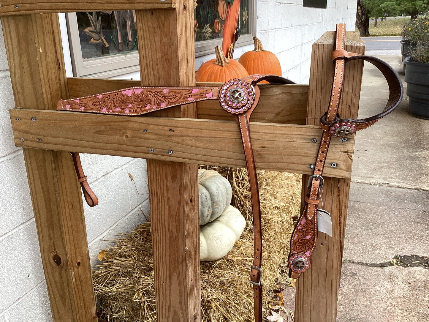 Pink Lady Tack Set by DallyUp