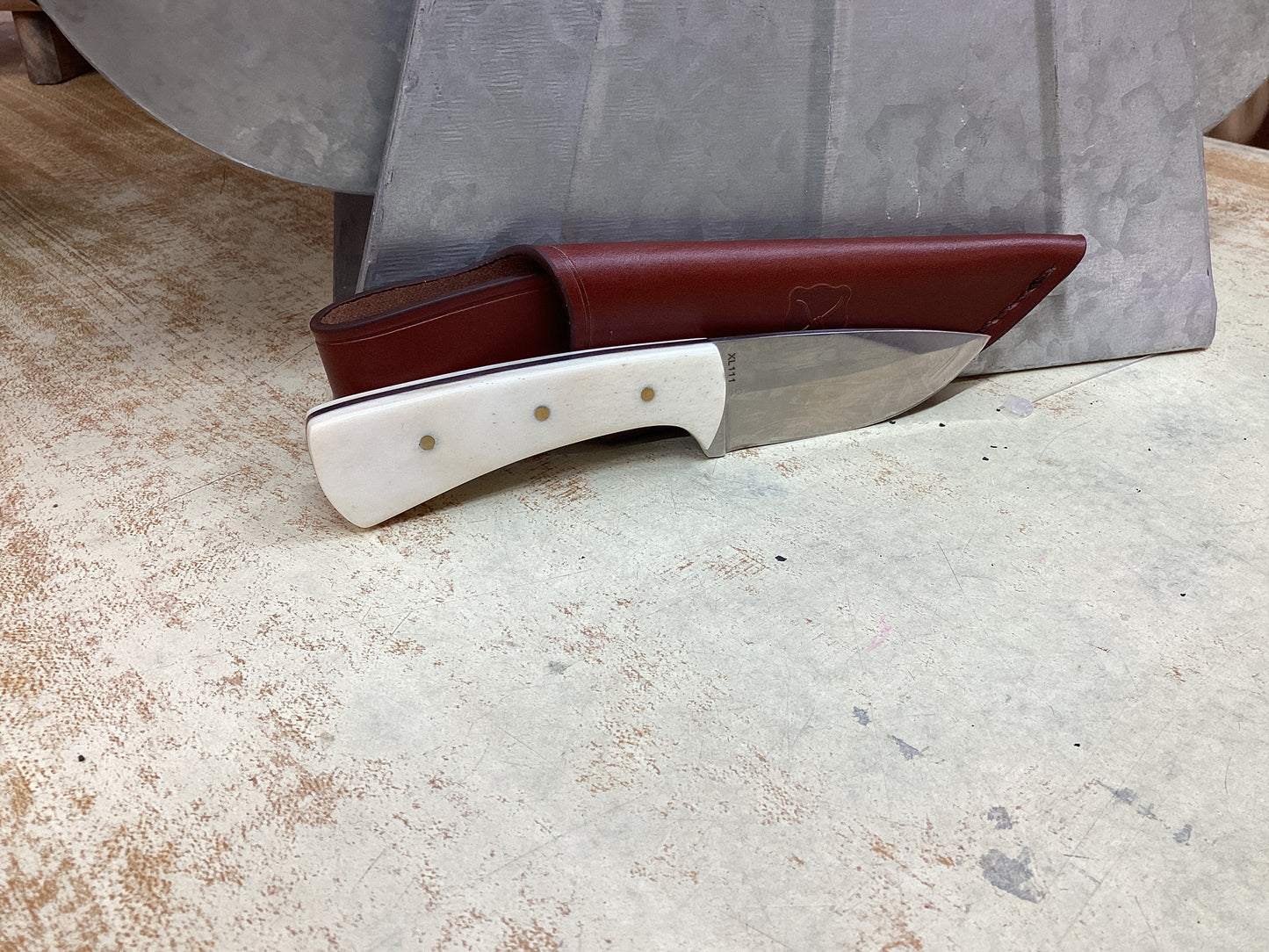 6 1/2” Fixed Blade Stainless Steel Blade with Natural Bone Handle and Leather Sheath