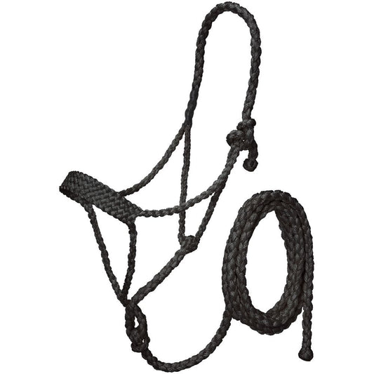 Black Mule Tape Halter