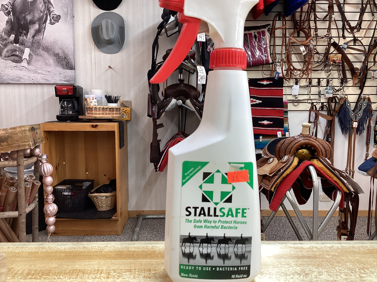 StallSafe Bacteria Cleanser for Horses