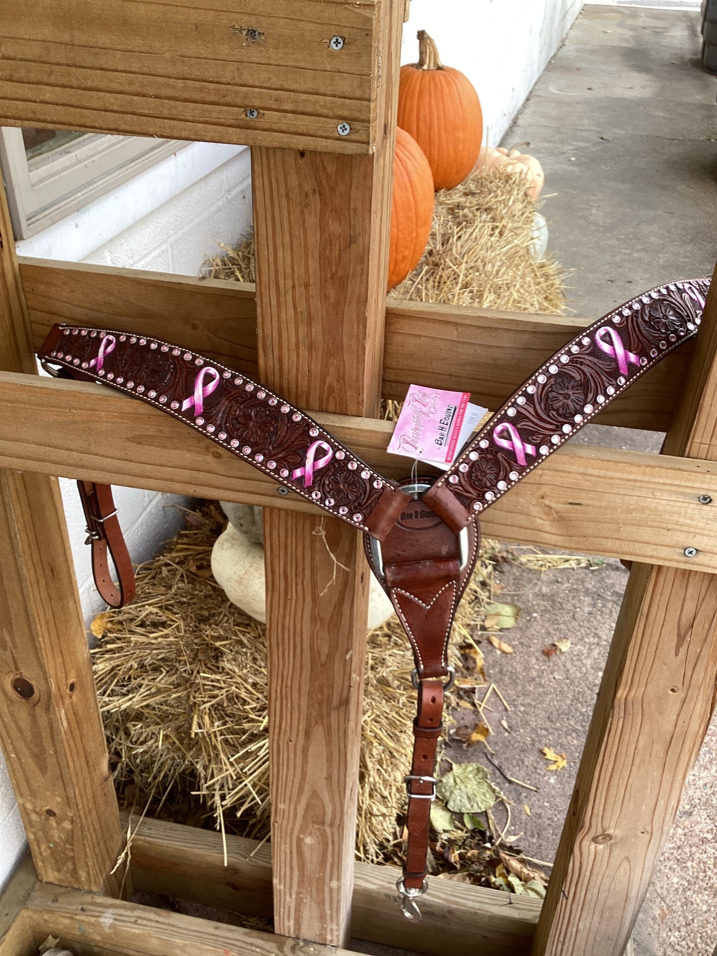 Passionately Pink Set