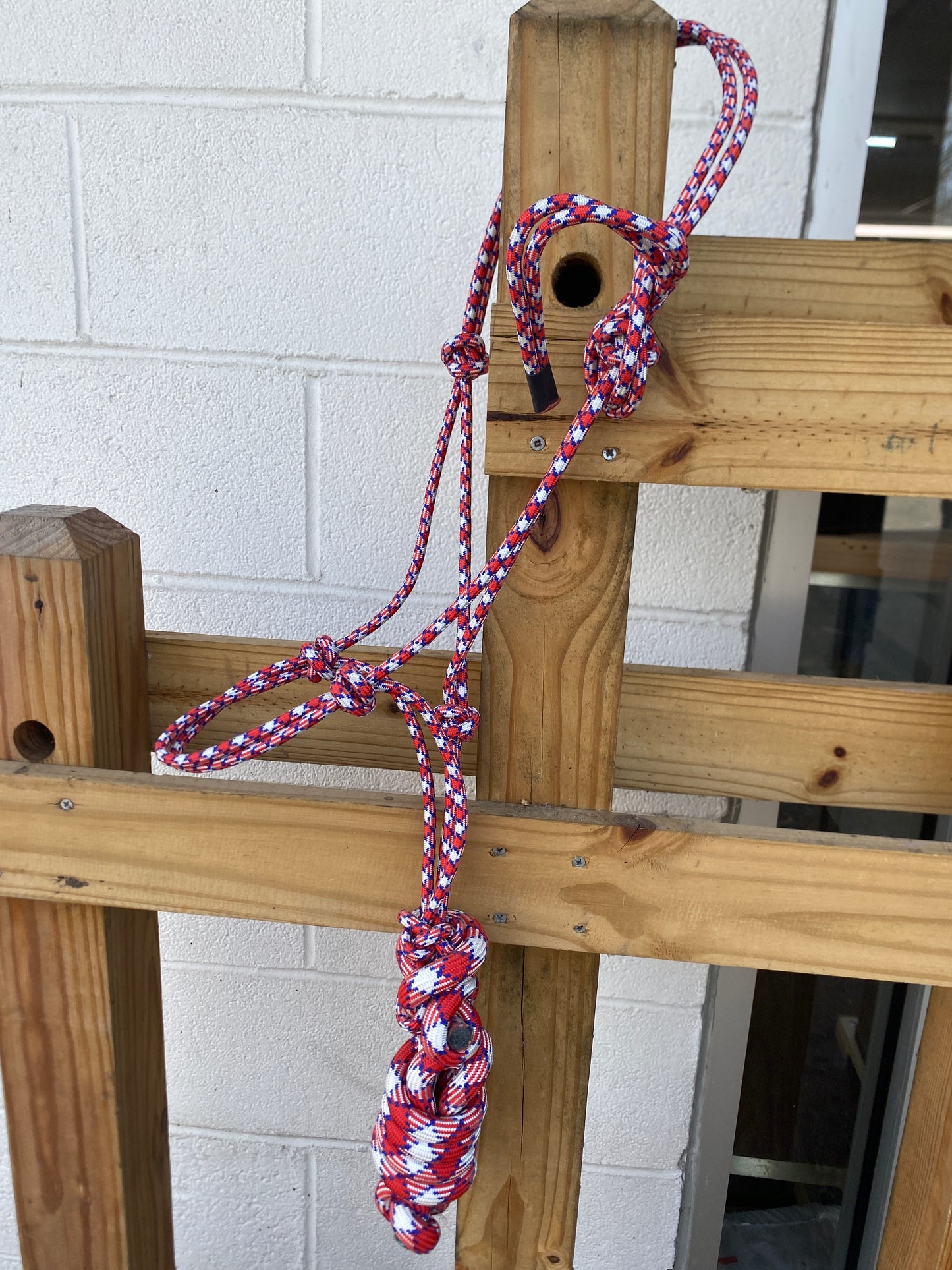 Poly Rope Tied Halter with Lead