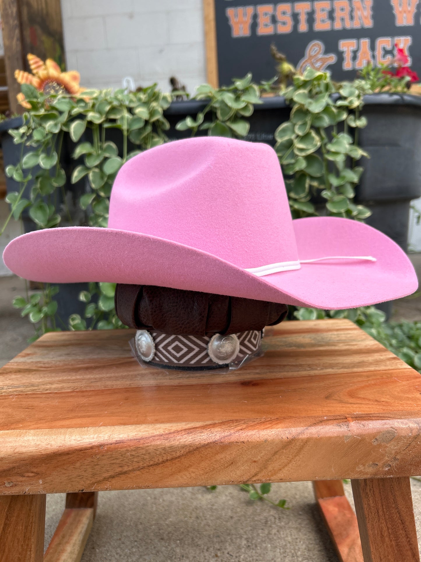 Twister Kids Pink Felt Hat