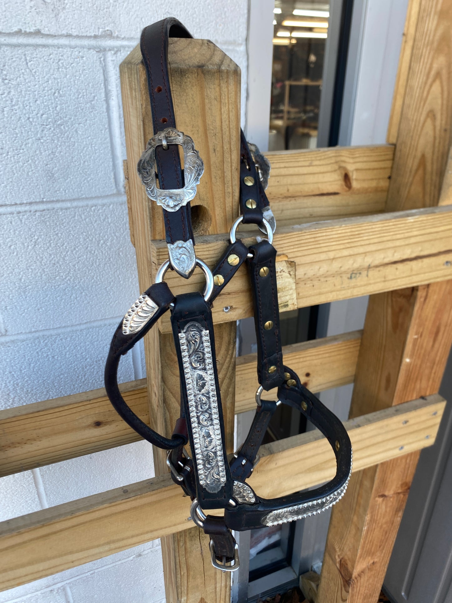 Dale Chavez Co. Show Halter-Horse CLEARANCE