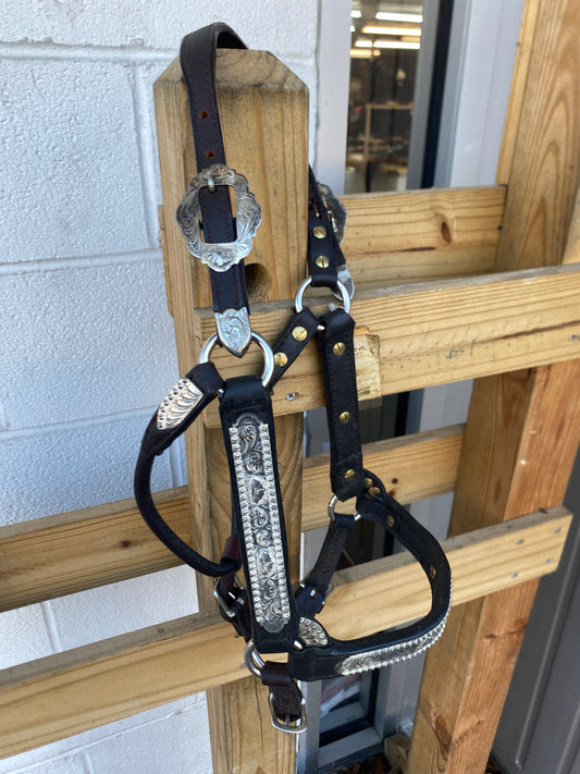 Dale Chavez Co. Show Halter-Horse CLEARANCE
