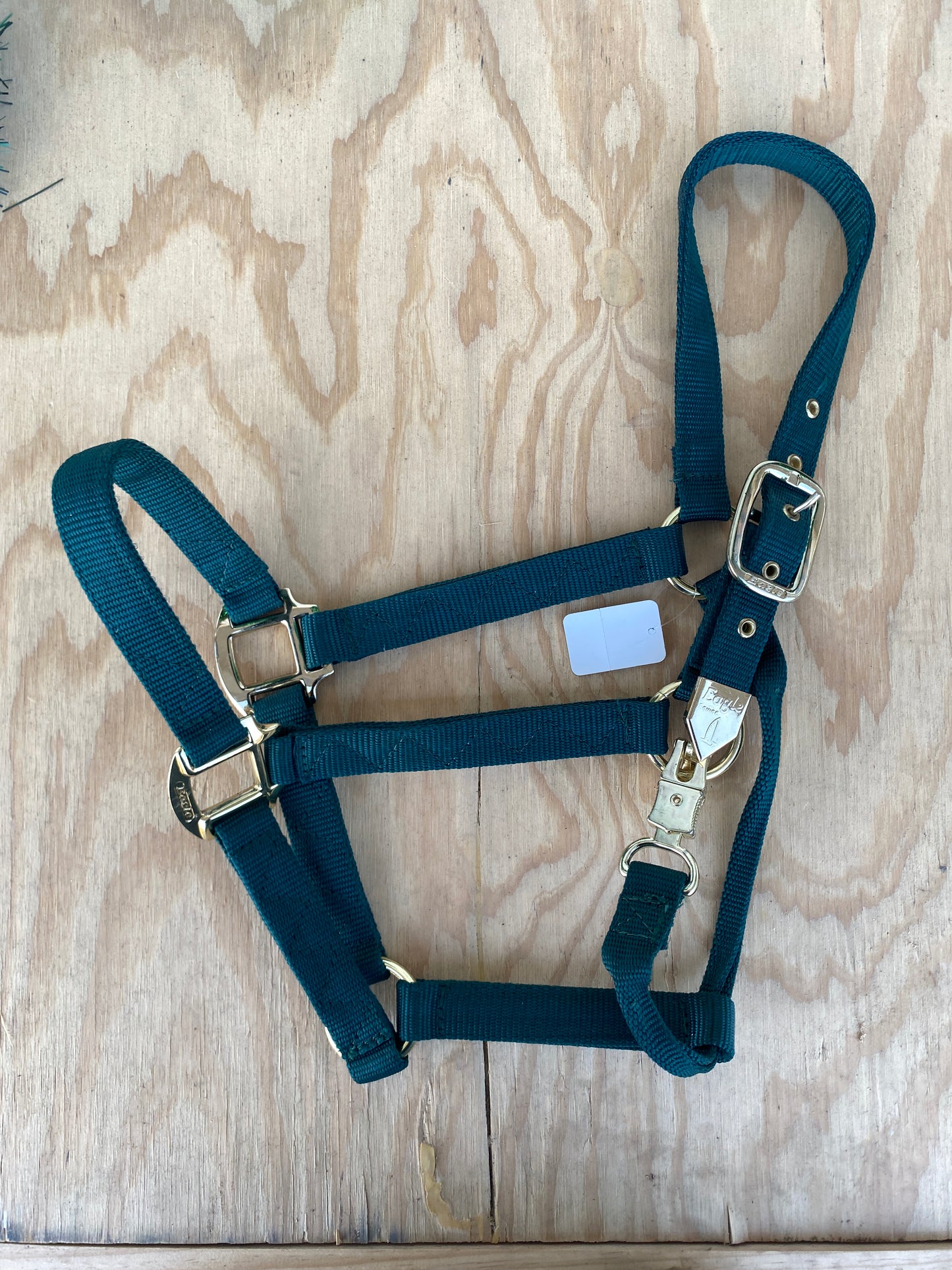 Economy Nylon Halter by Eagle Equine