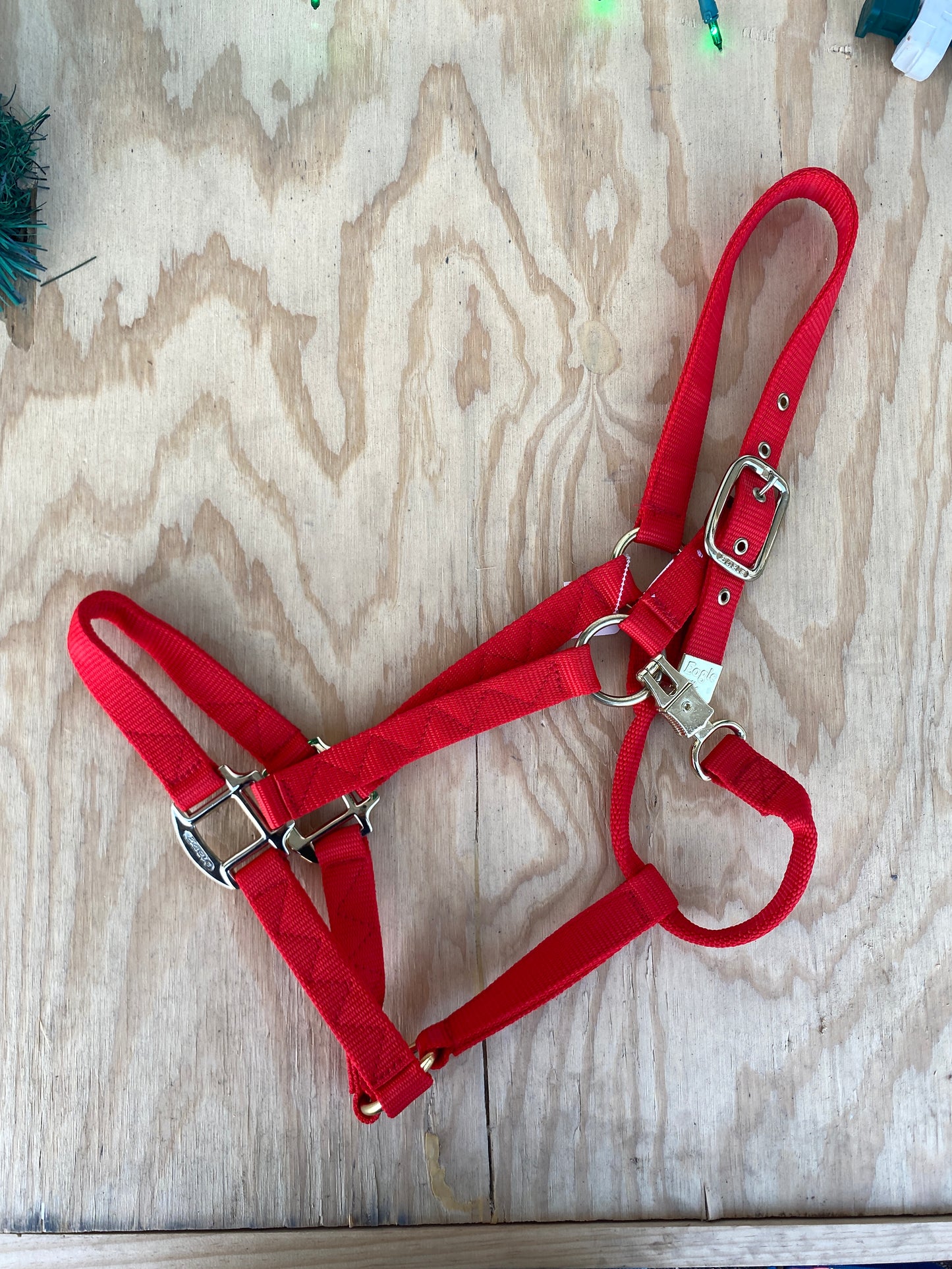 Economy Nylon Halter by Eagle Equine