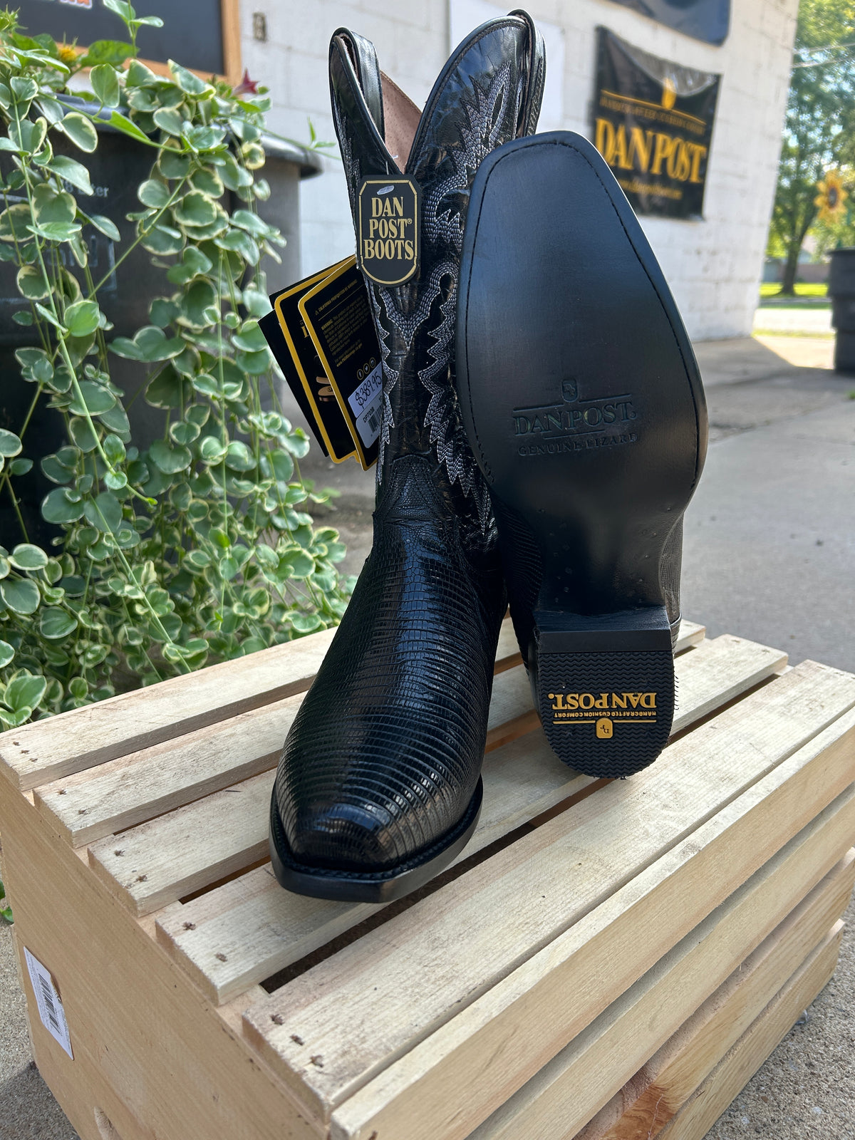 Ringold 7 Teju Lizard by Dan Post Boot Company