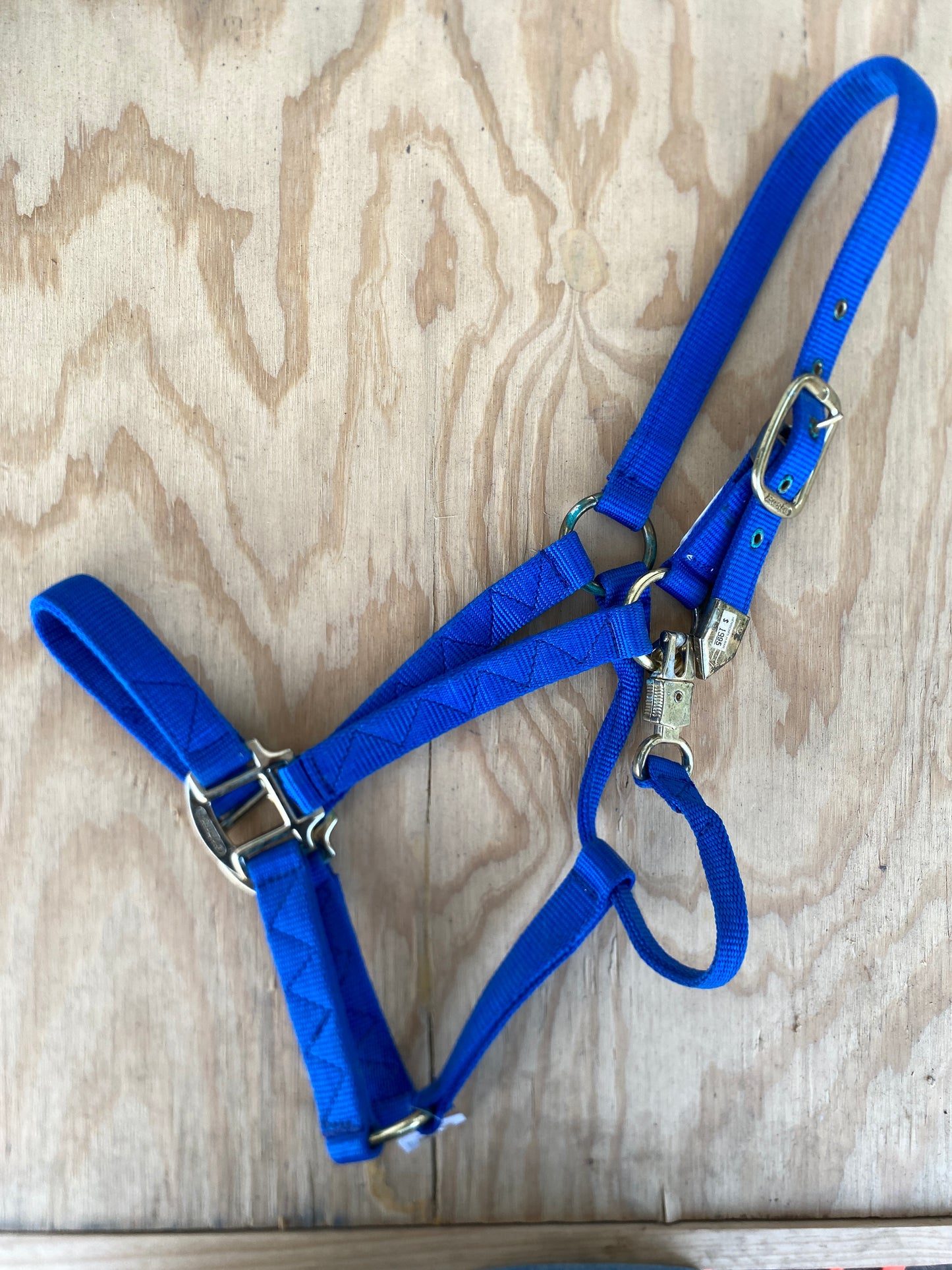 Economy Nylon Halter by Eagle Equine