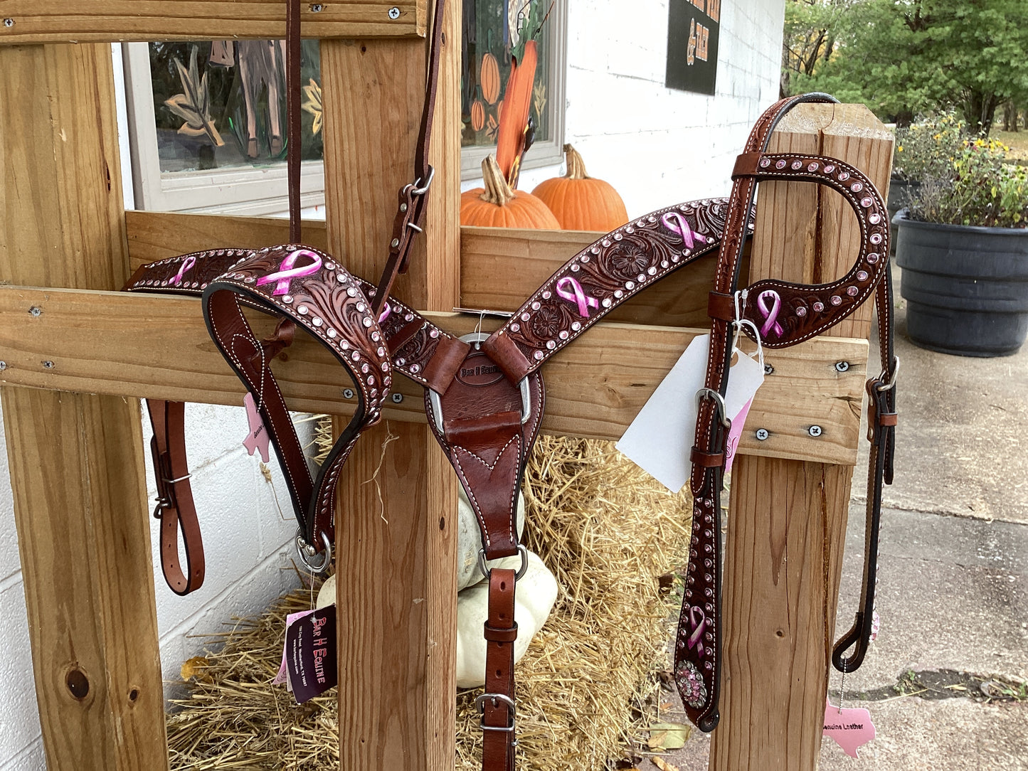 Passionately Pink Set