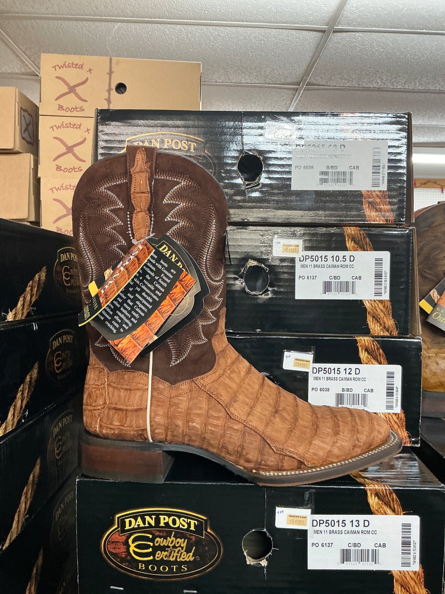 Dan Post Brass Caiman