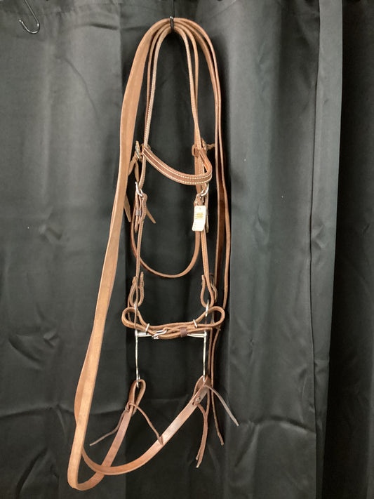 Sharp brow band work bridle
