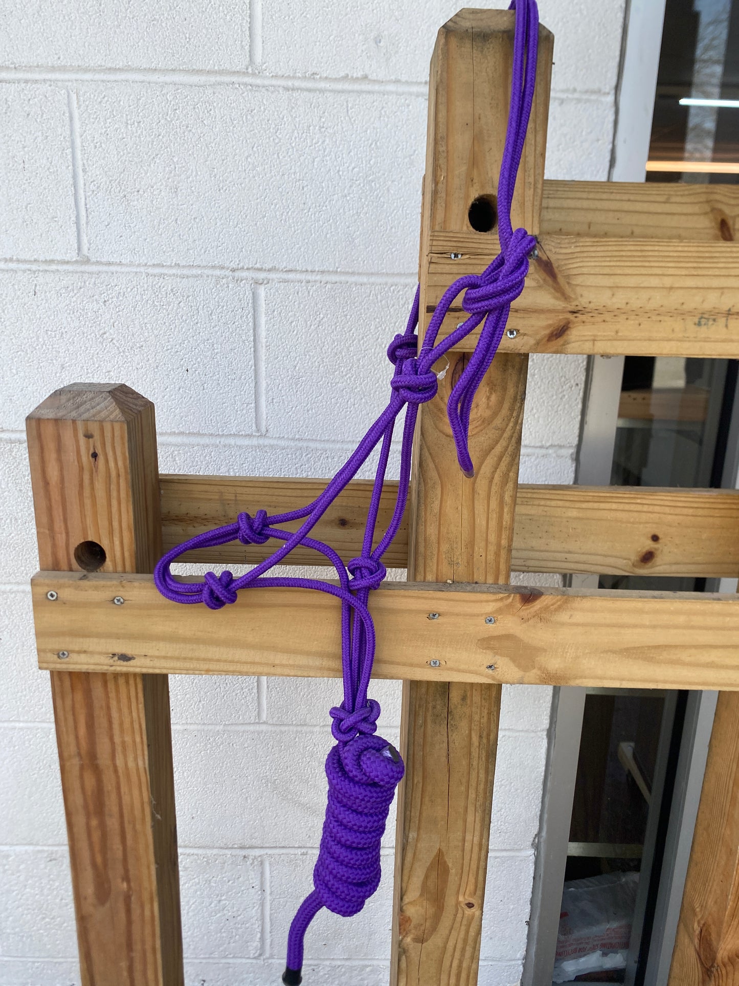 Poly Rope Tied Halter with Lead