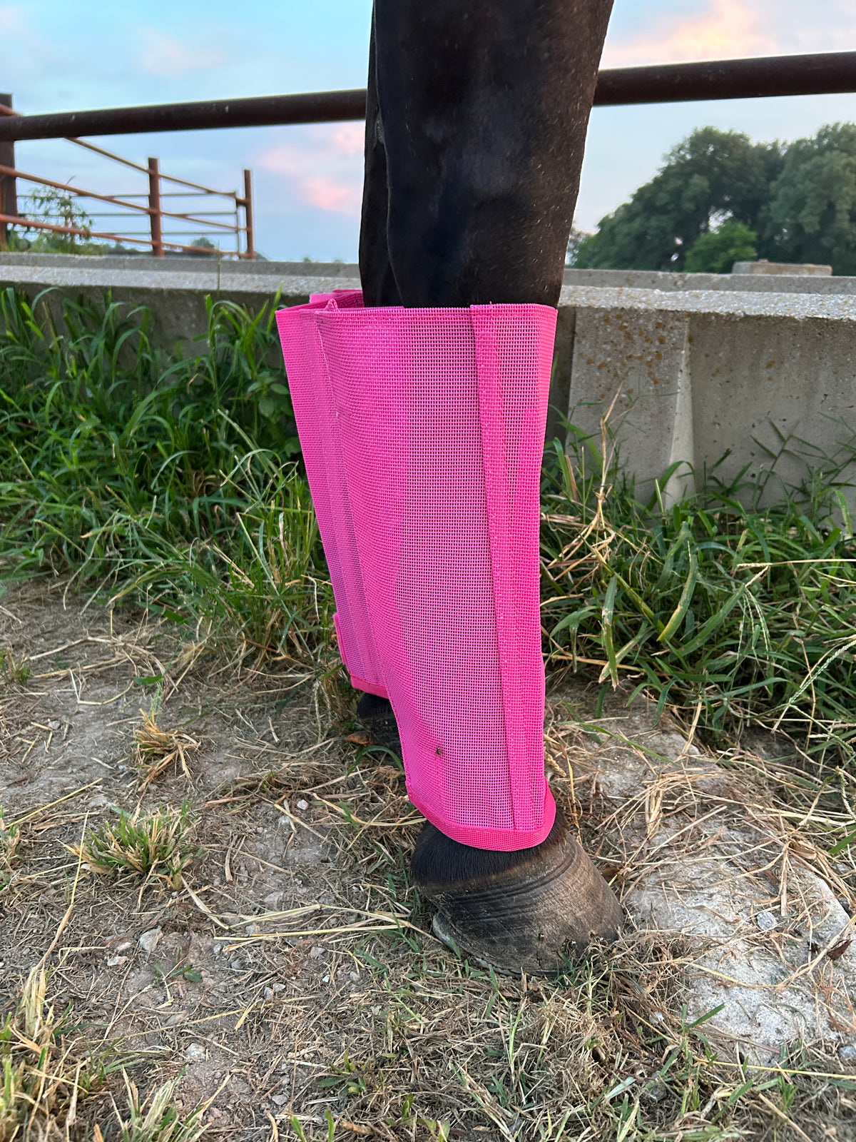 Crusader Fly Leg Guards