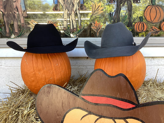 Luzerne 3X Felt Hat by Bailey