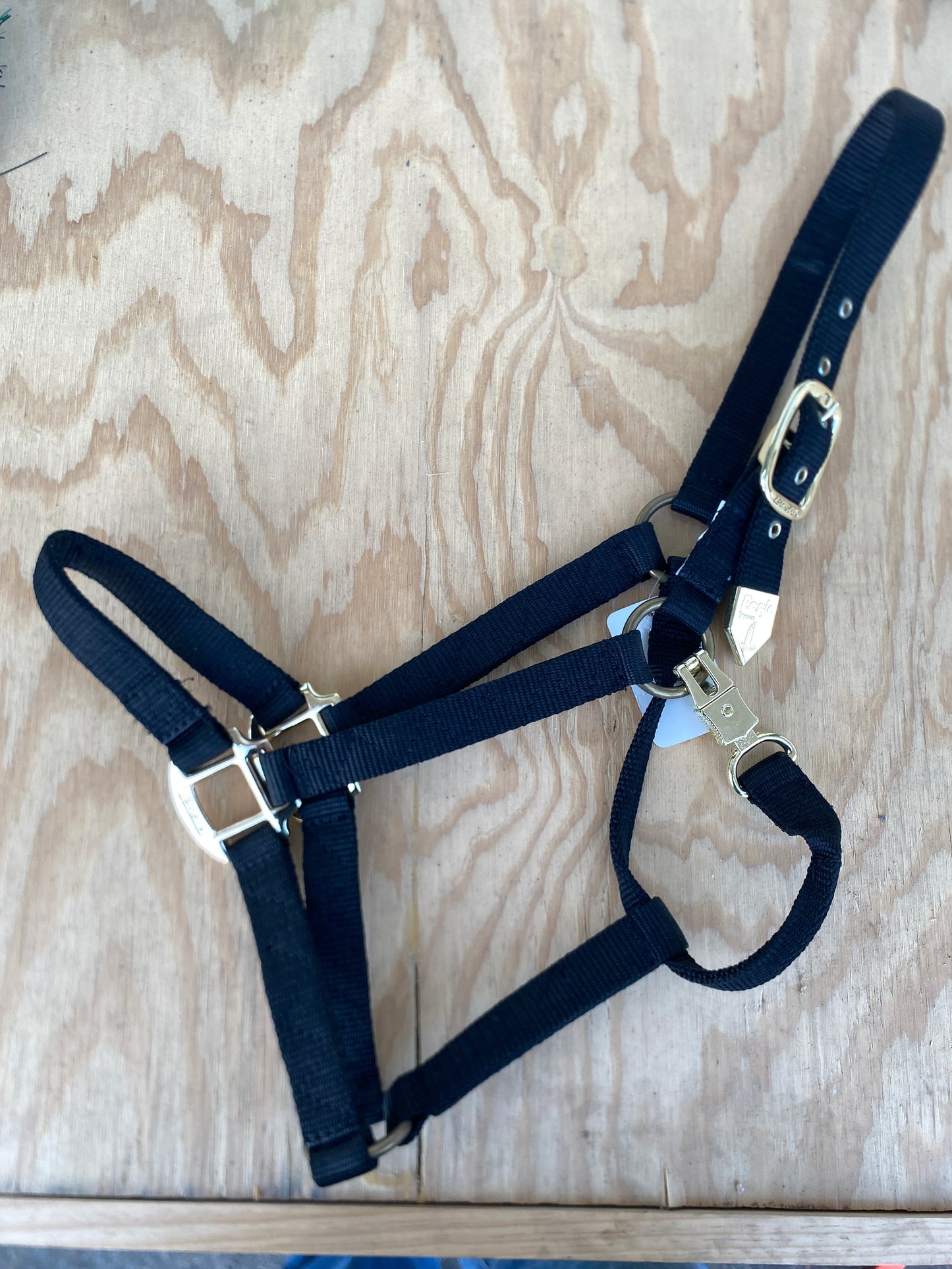 Economy Nylon Halter by Eagle Equine