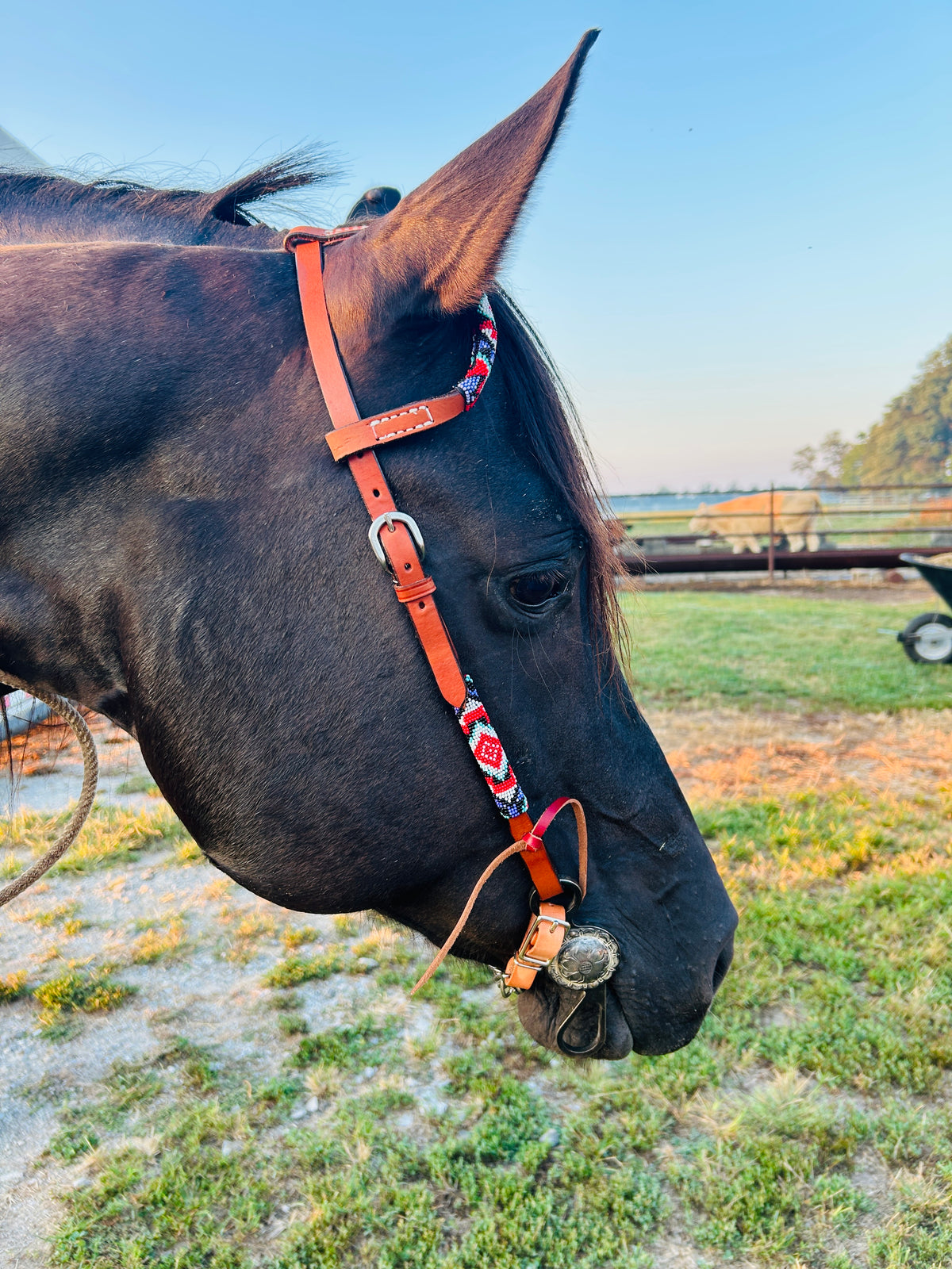 Beaded Single Ear Bridle