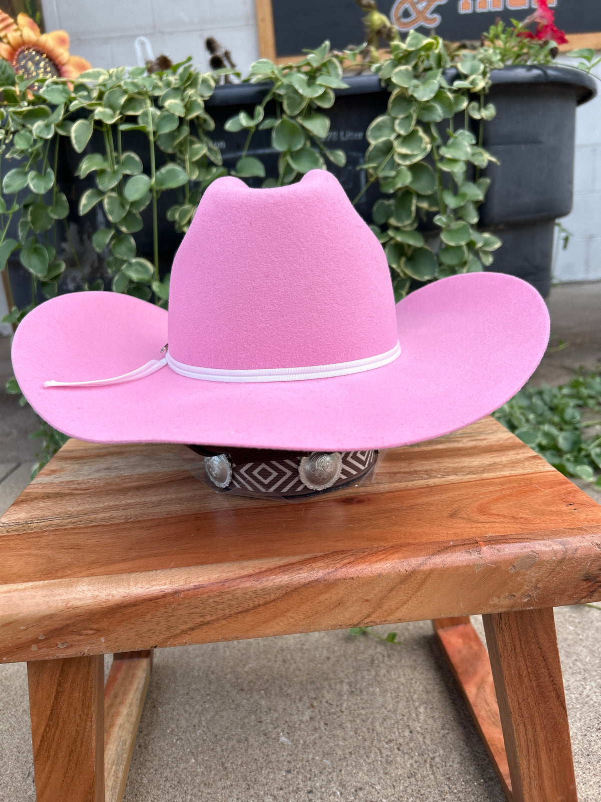 Twister Kids Pink Felt Hat