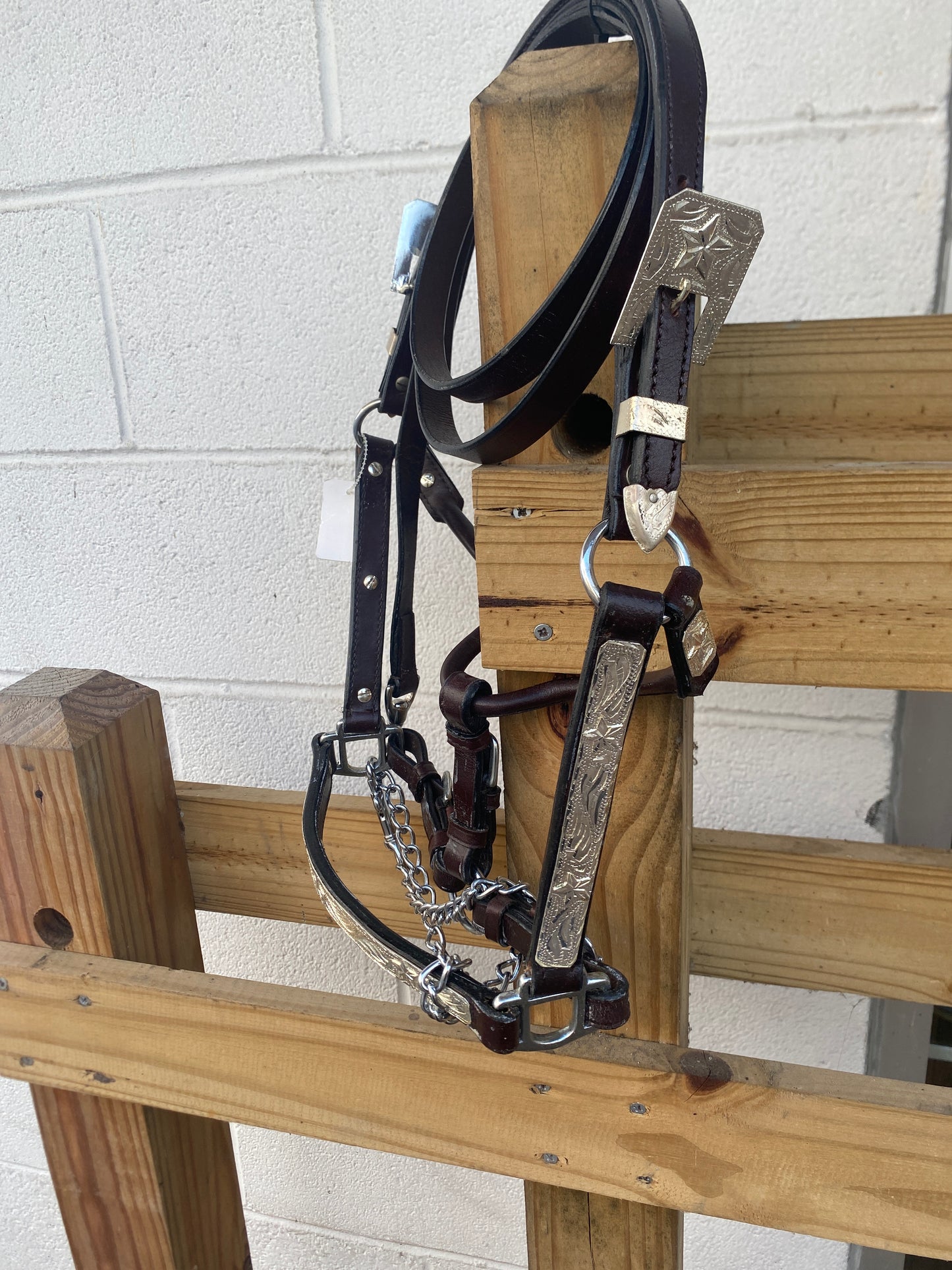 Colt Show Halter- Clearance