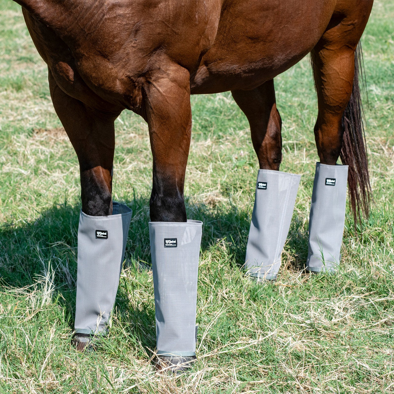 Crusader Fly Leg Guards
