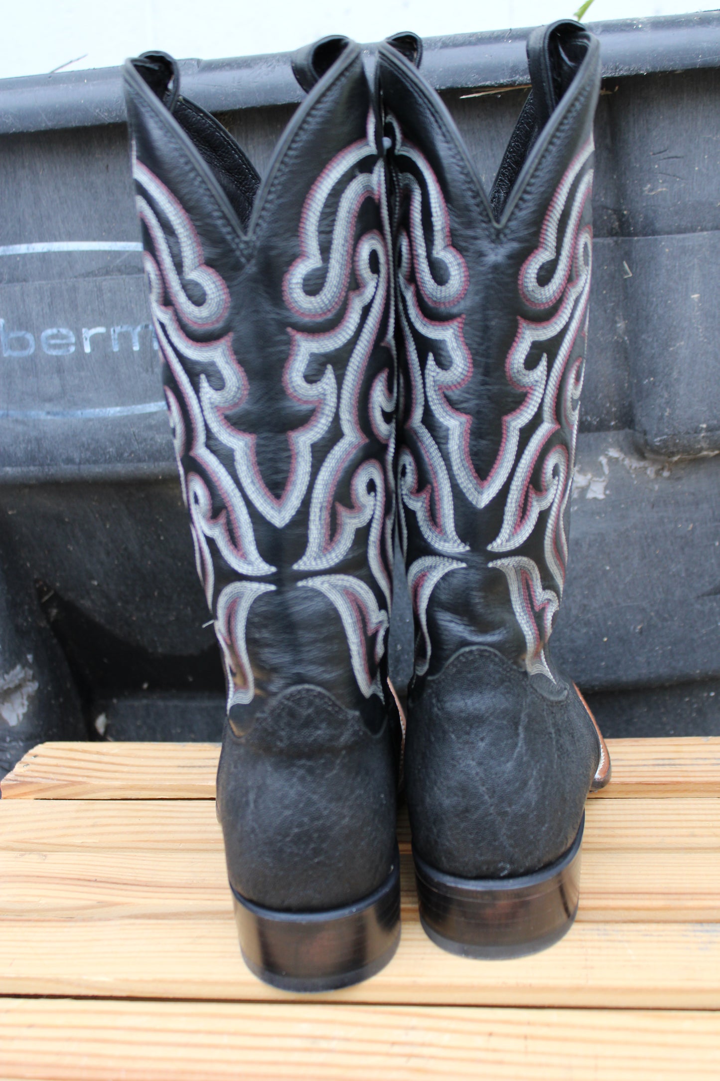 Nocona- Black Elephant