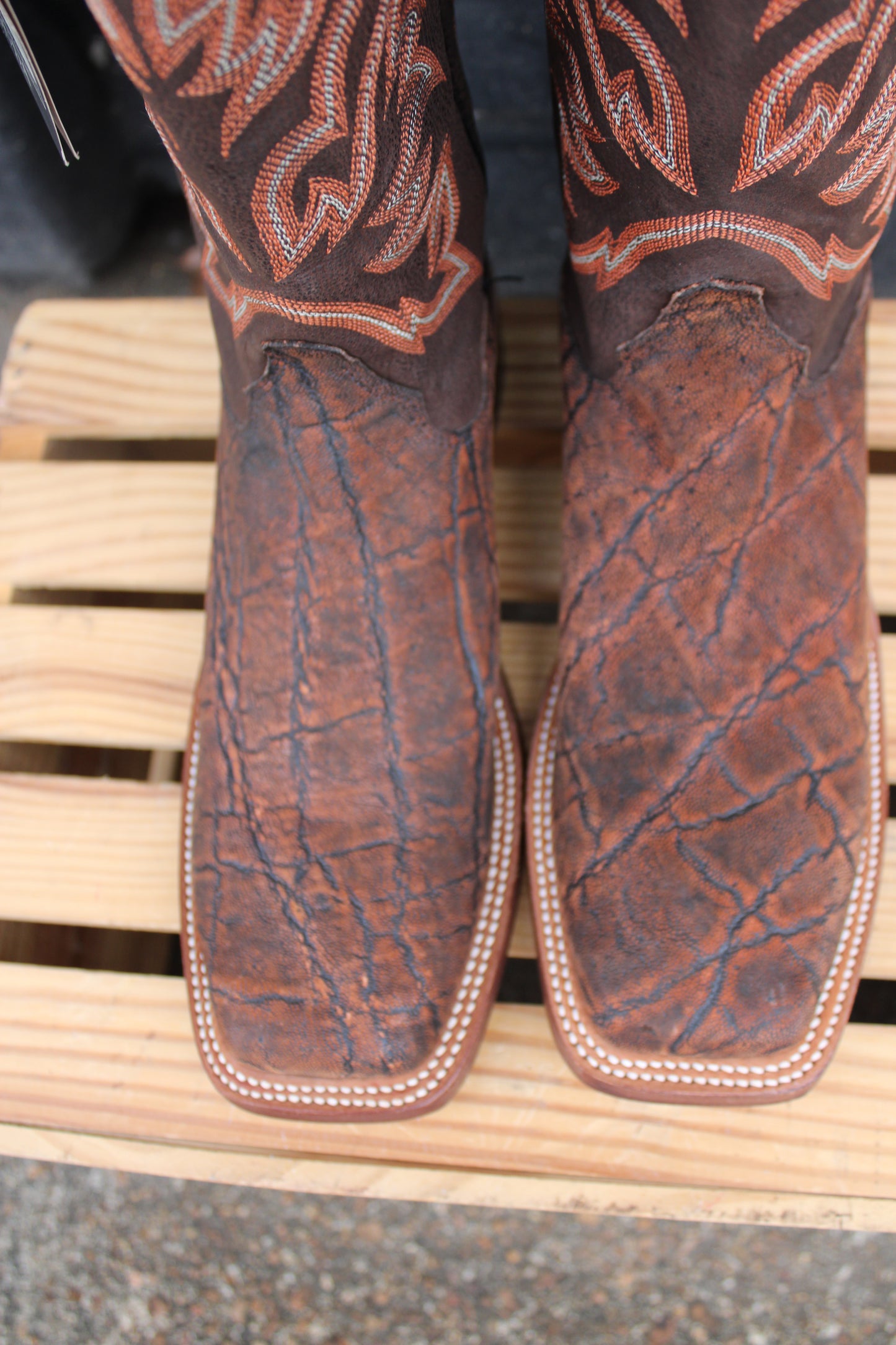 Justin AQHA Remuda Series-Elephant