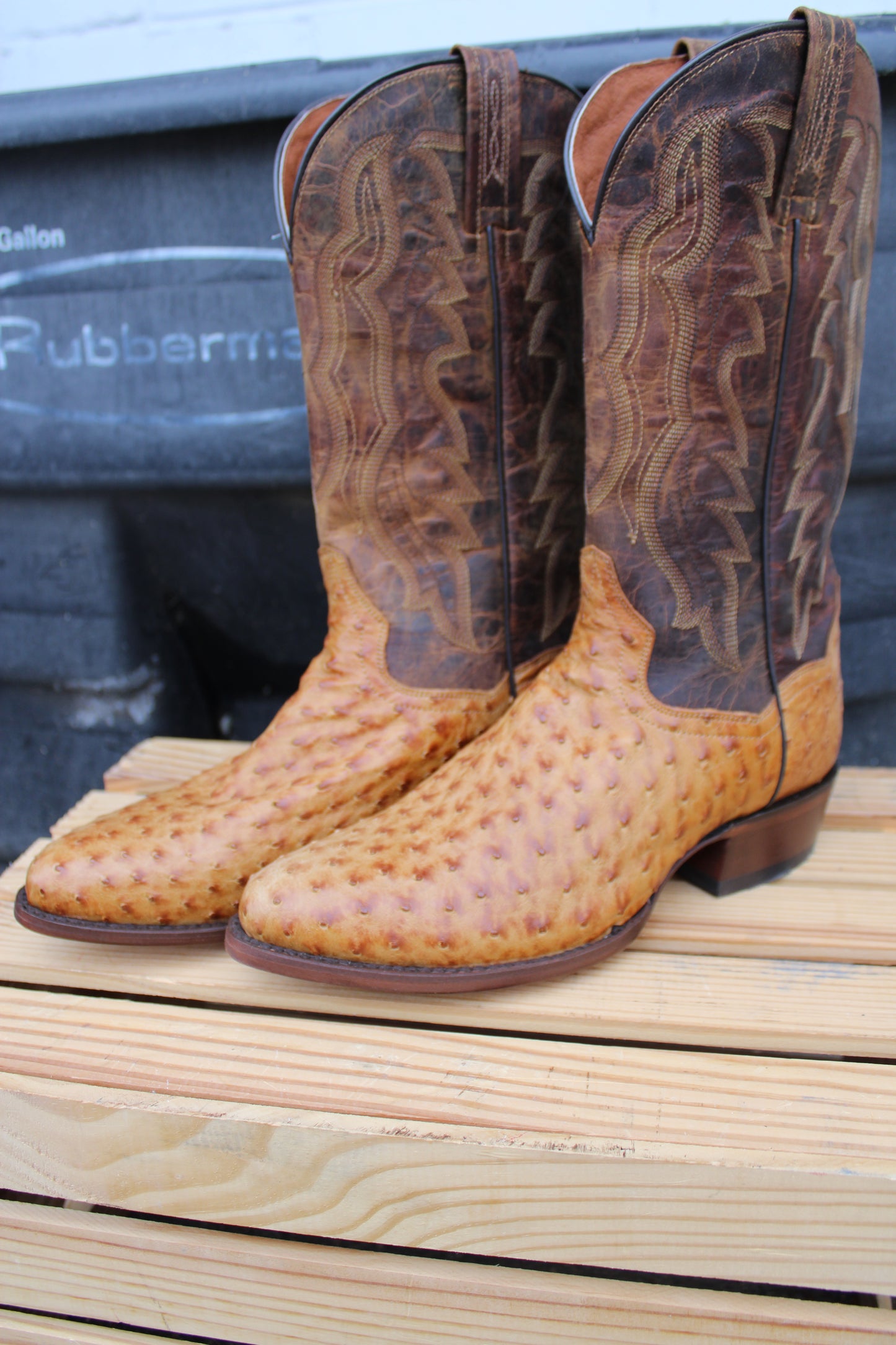 Dan Post-Gehrig Full Quill Ostrich Boot