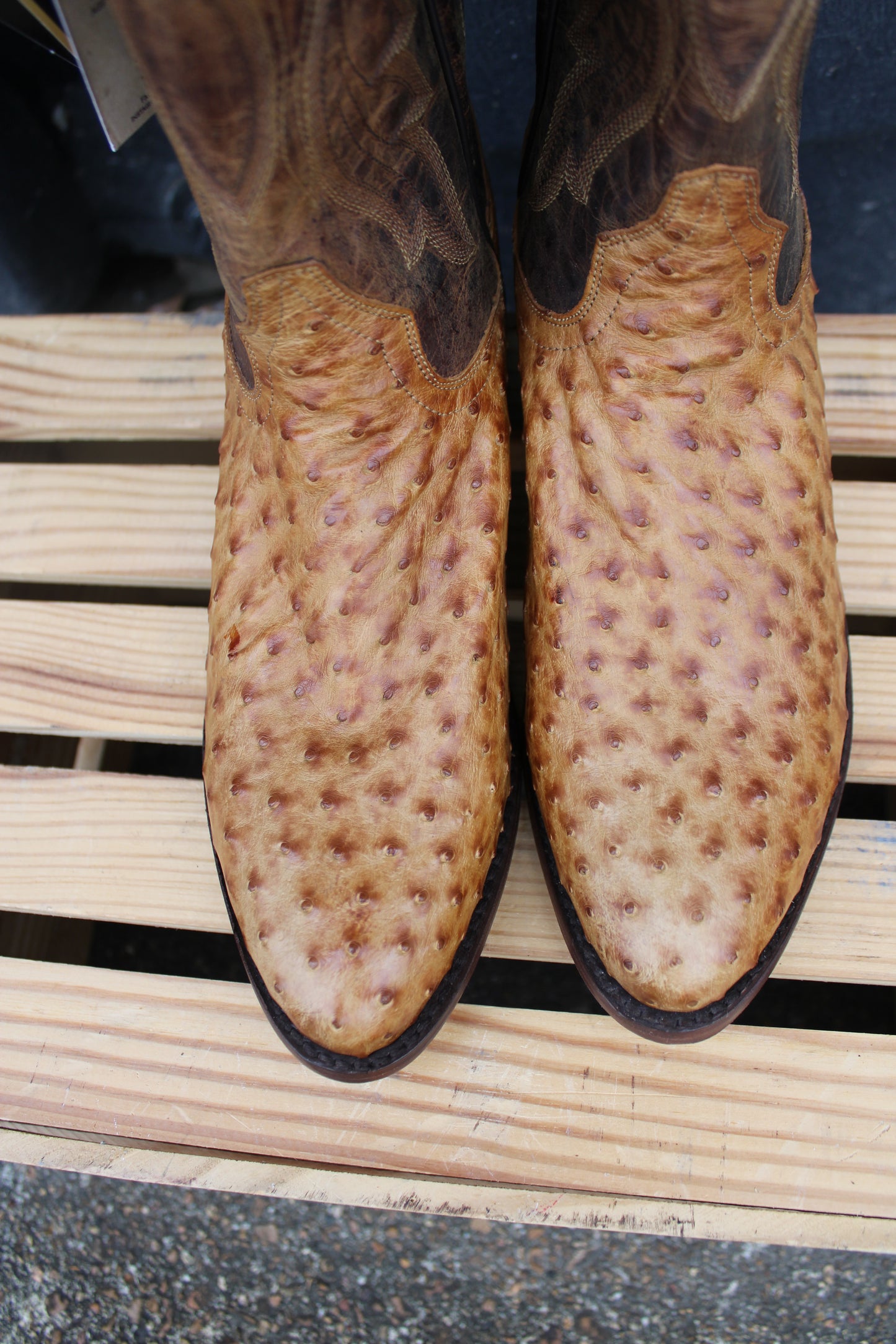 Dan Post-Gehrig Full Quill Ostrich Boot