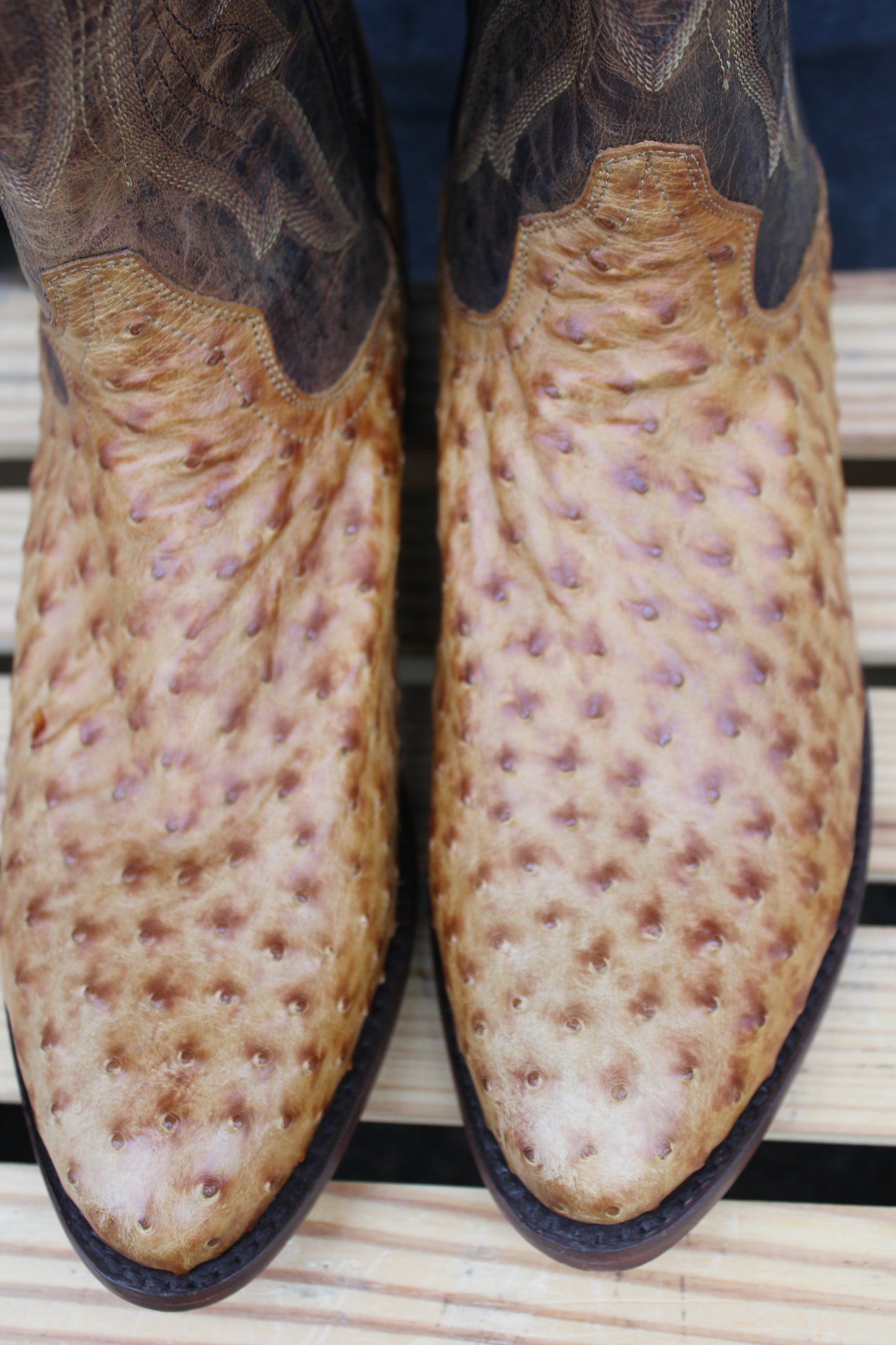 Dan Post-Gehrig Full Quill Ostrich Boot