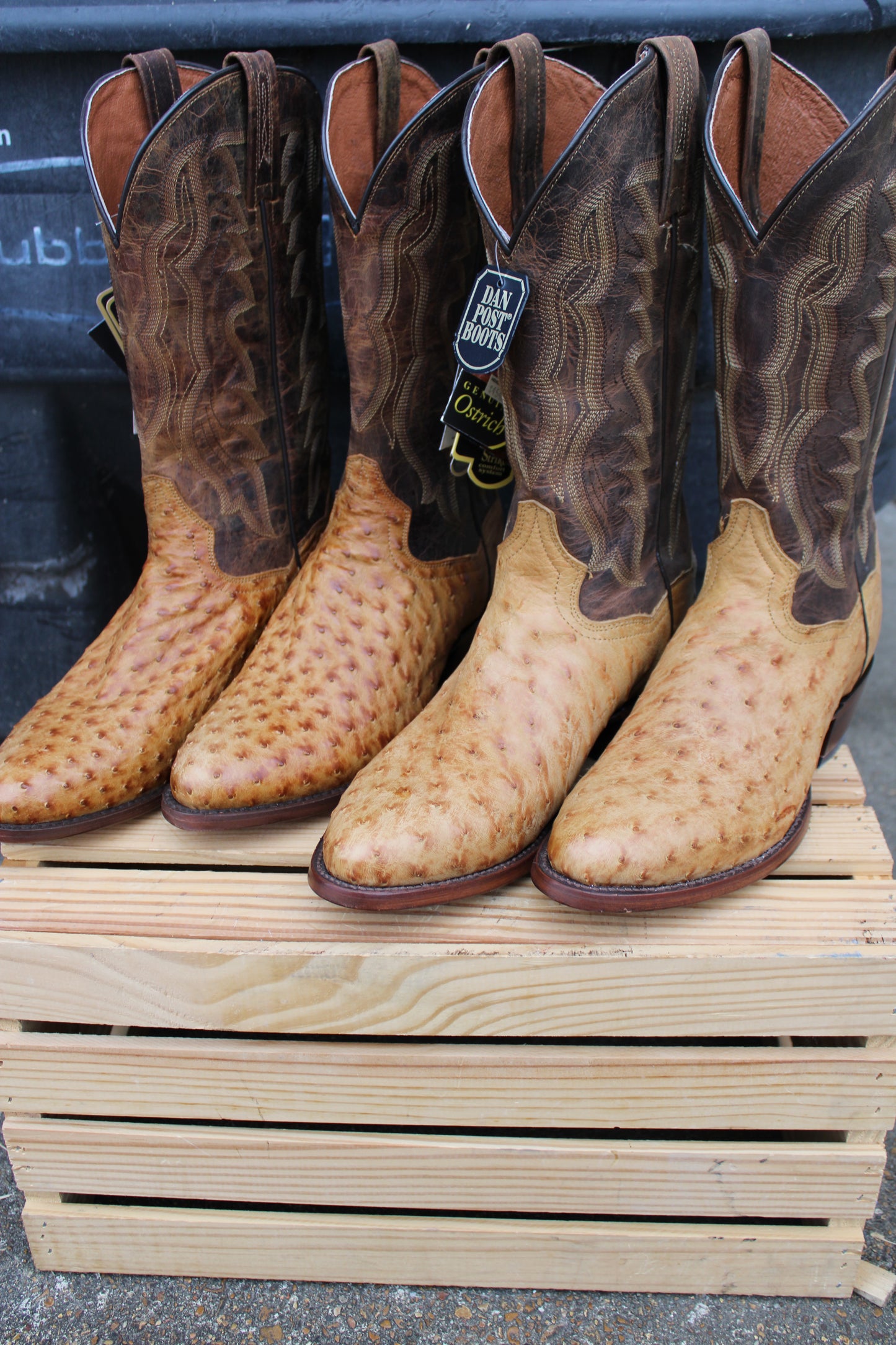 Dan Post-Gehrig Full Quill Ostrich Boot