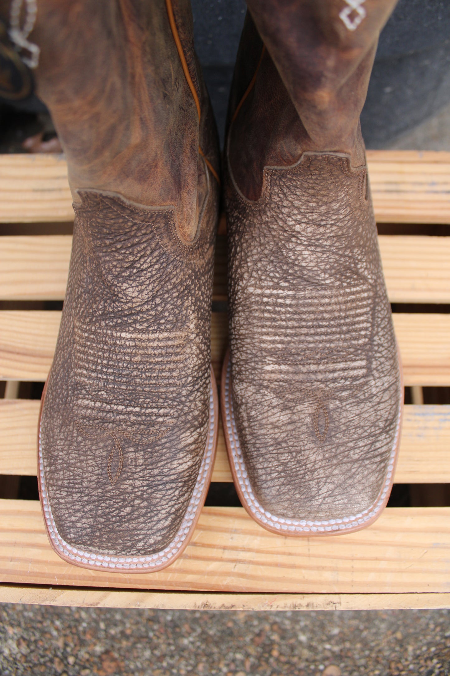 Dan Post Cowboy Certified- Murray-Honey Bison