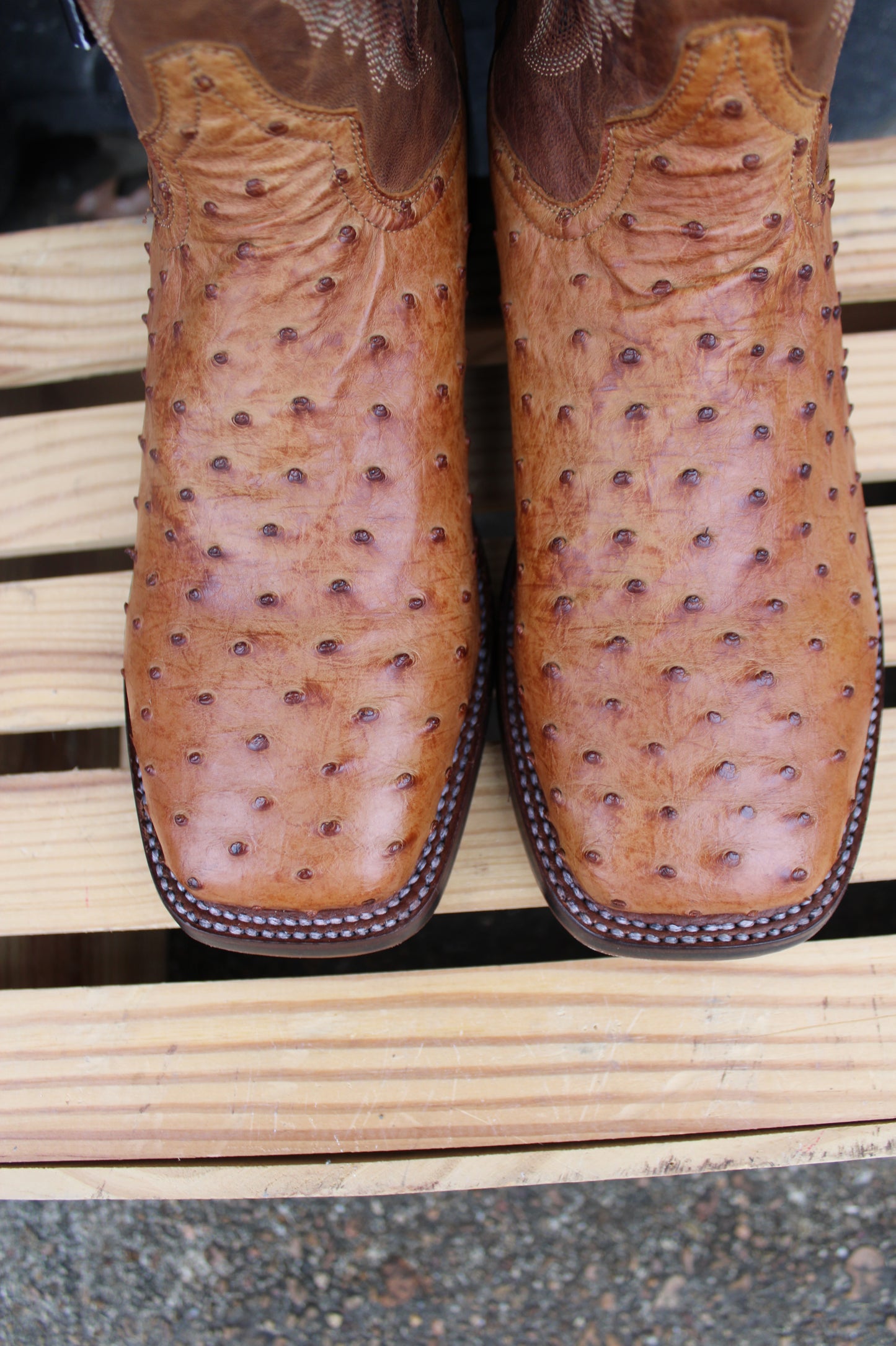 Dan Post Cowboy Certified-Alamosa Full Quill Ostrich-Saddle Tan