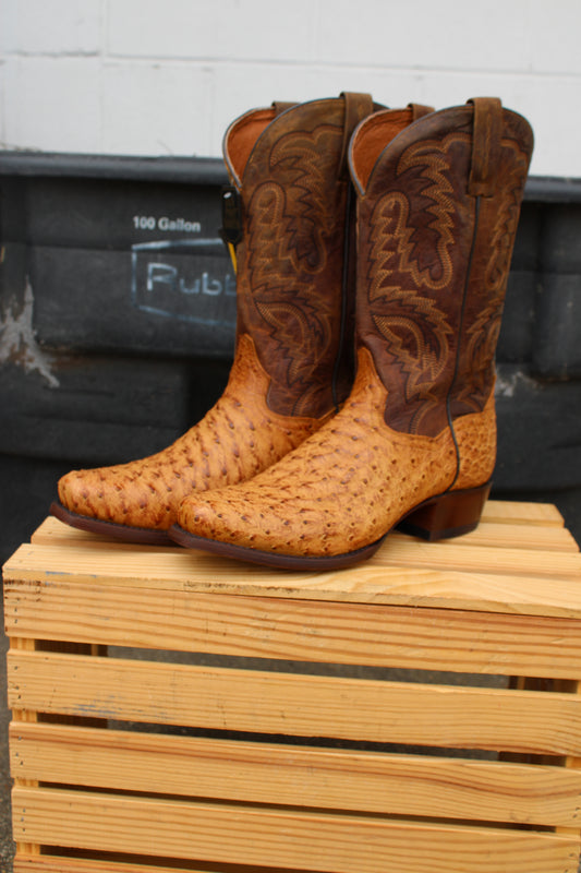 Dan Post- Marco Full Quill Ostrich Cutter Toe