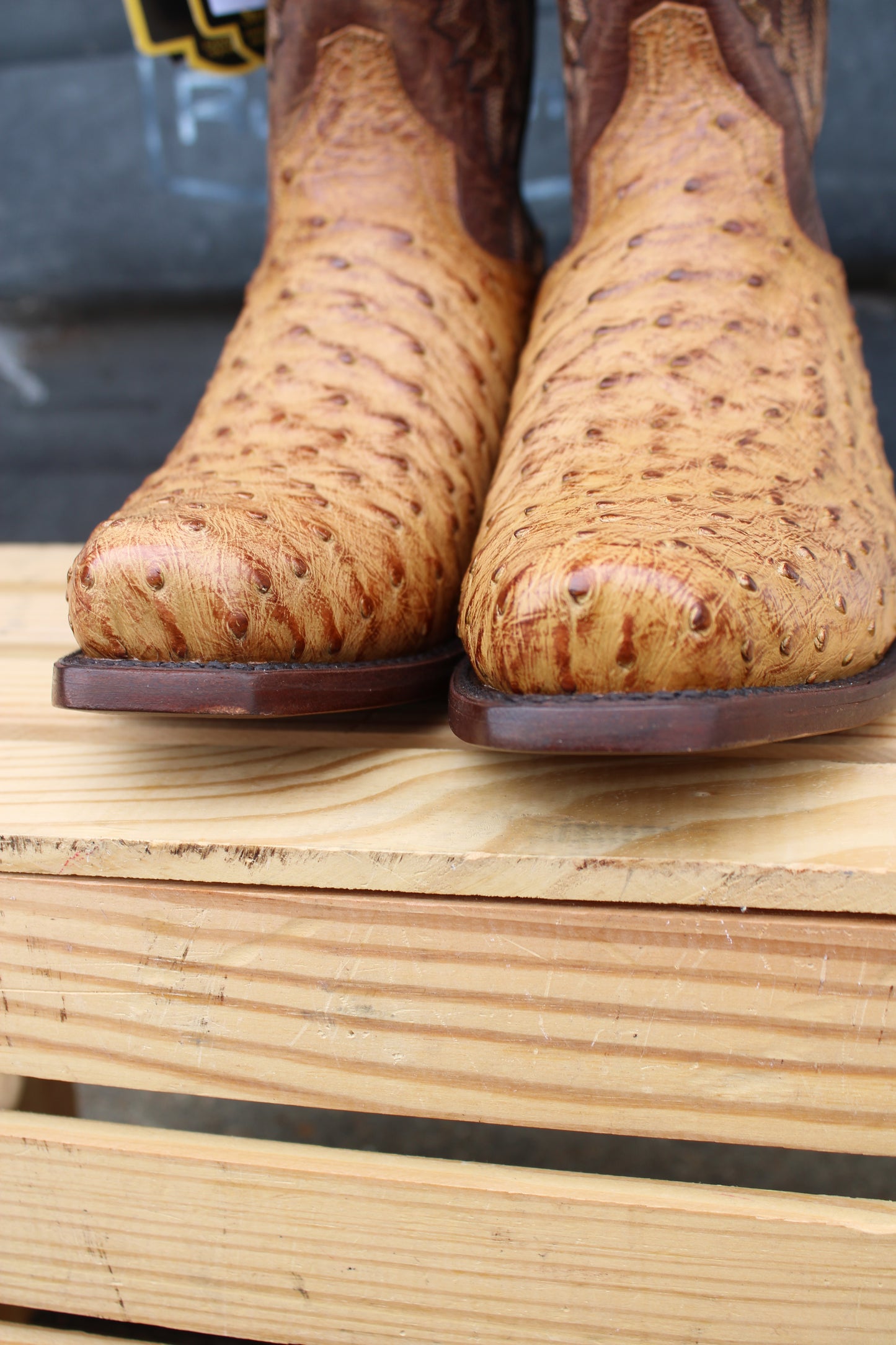 Dan Post- Marco Full Quill Ostrich Cutter Toe
