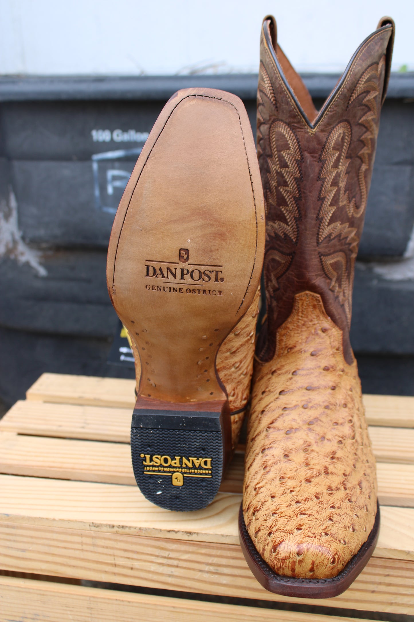 Dan Post- Marco Full Quill Ostrich Cutter Toe